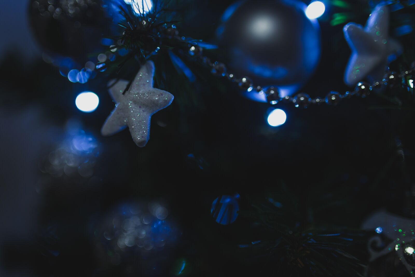 Canon EOS 6D sample photo. Christmas, tree, lights photography