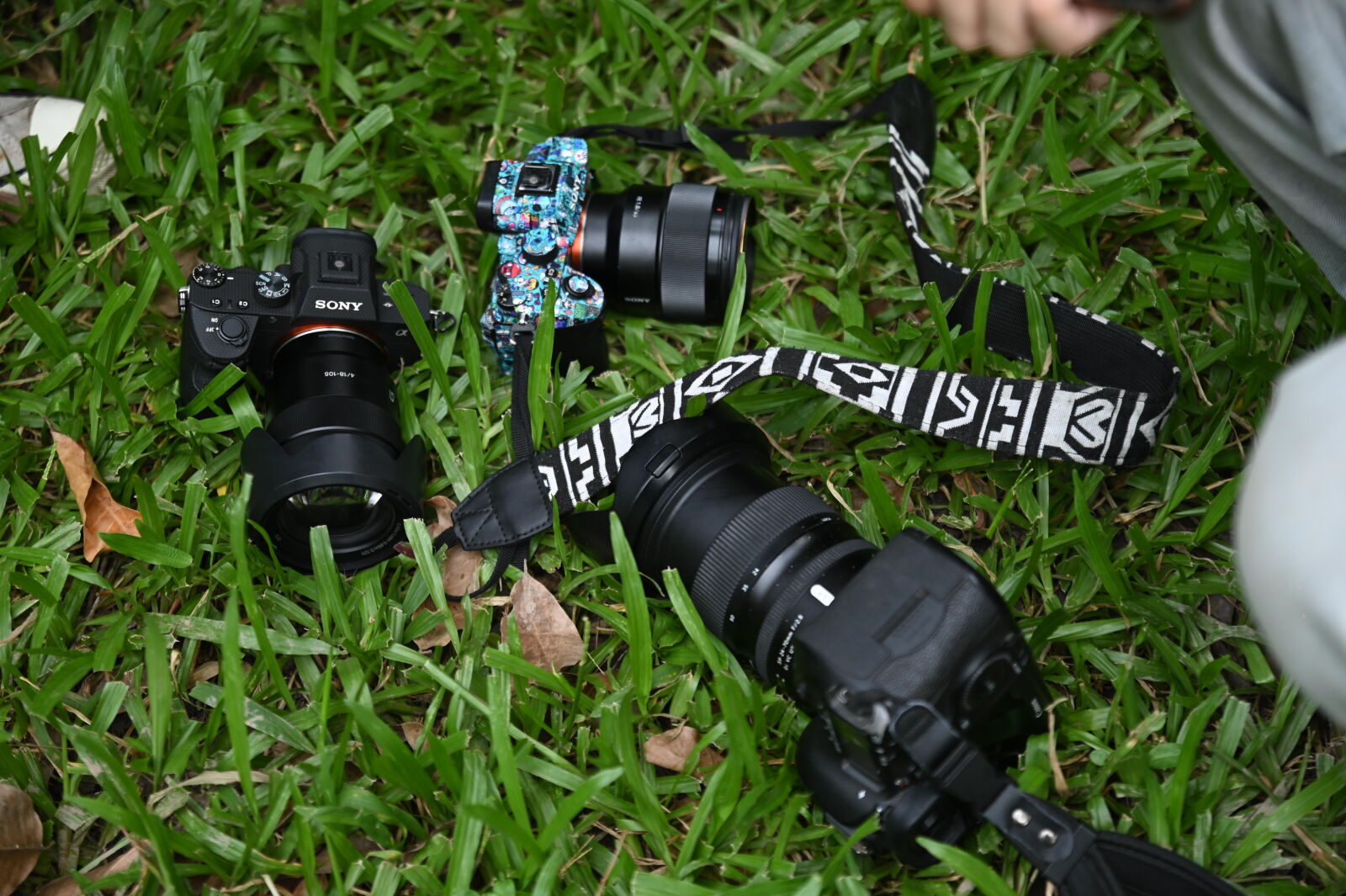 Nikon D780 sample photo