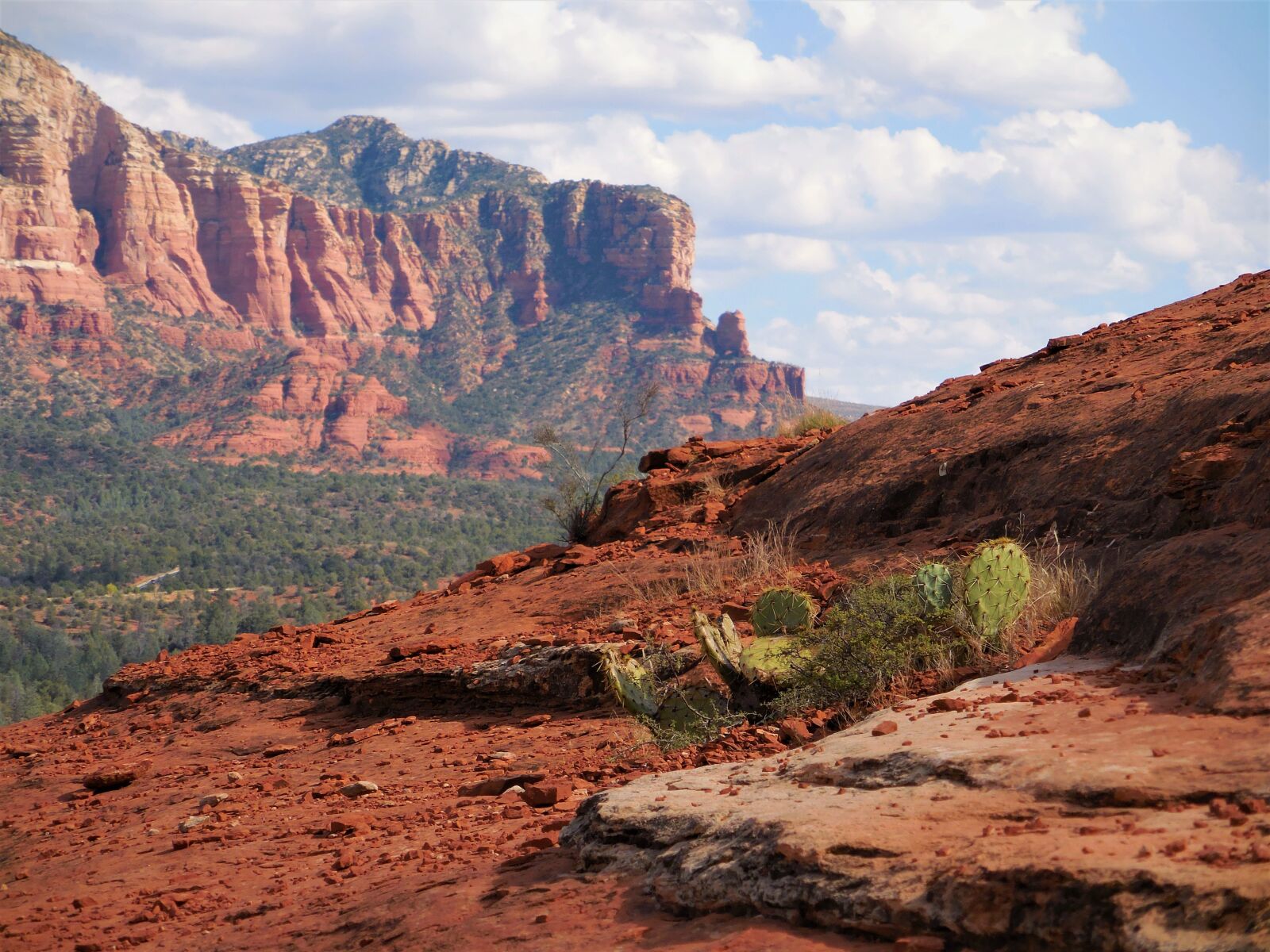 Nikon Coolpix S6800 sample photo. Canyon, cactus, desert photography