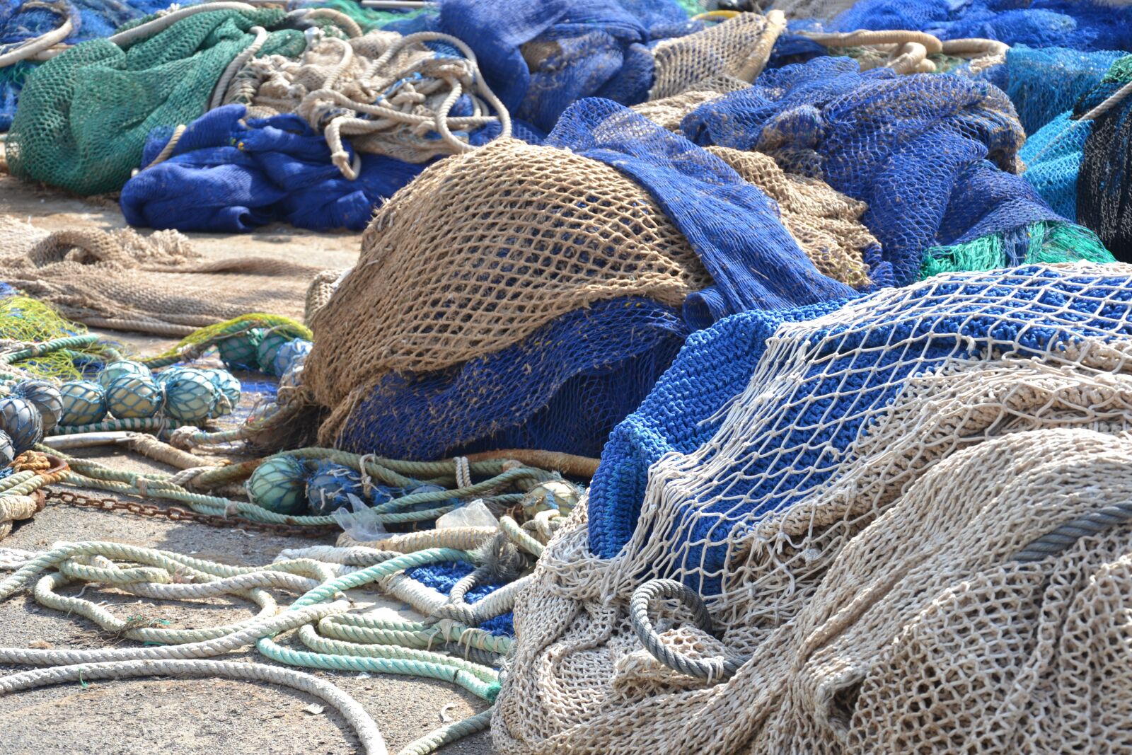 Nikon D3100 sample photo. Net, fish, sea photography