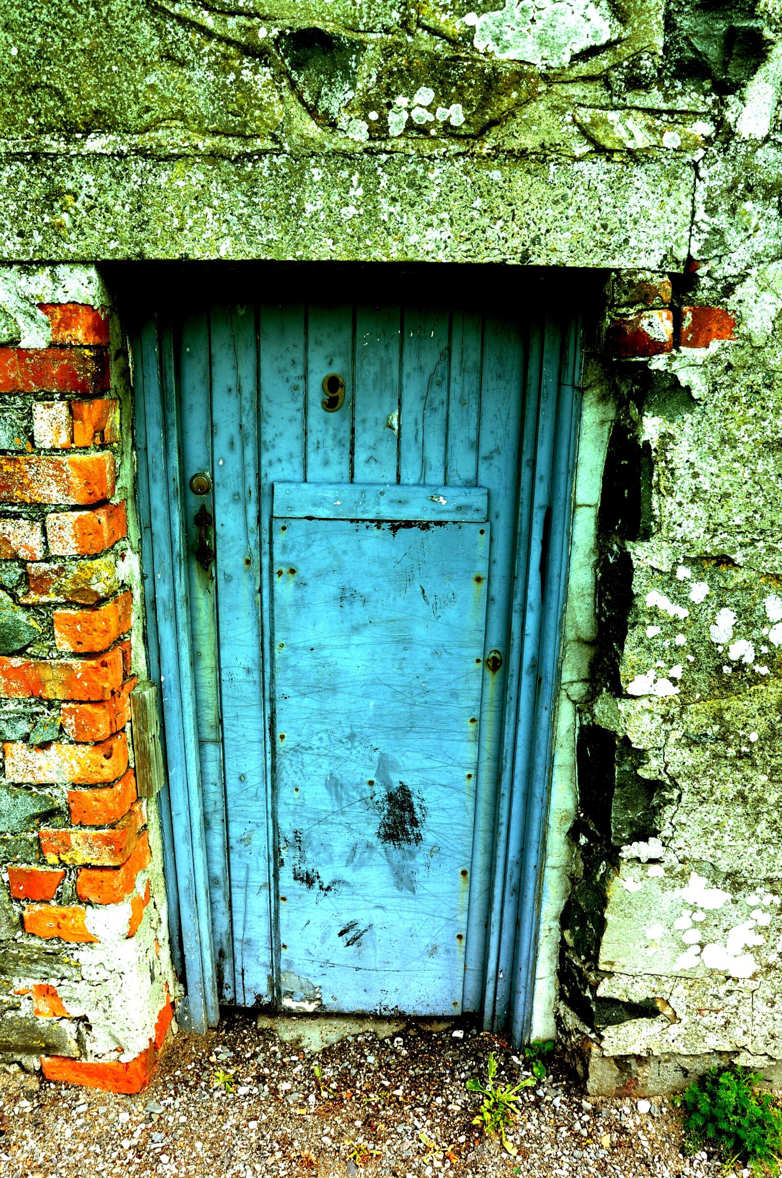 Nikon D90 sample photo. Door, blue, entrance photography