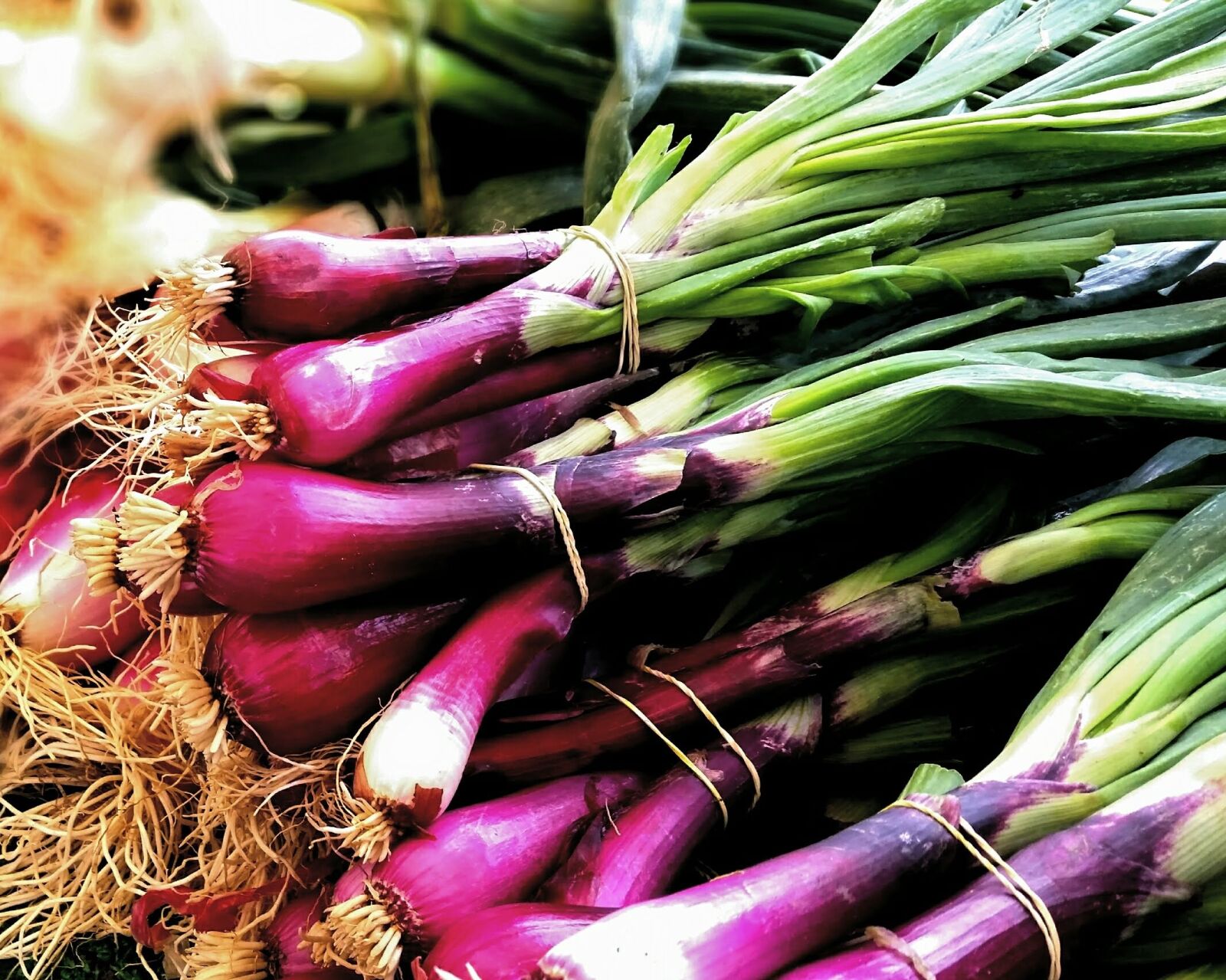 Samsung Galaxy S5 sample photo. Vegetable, food, root photography