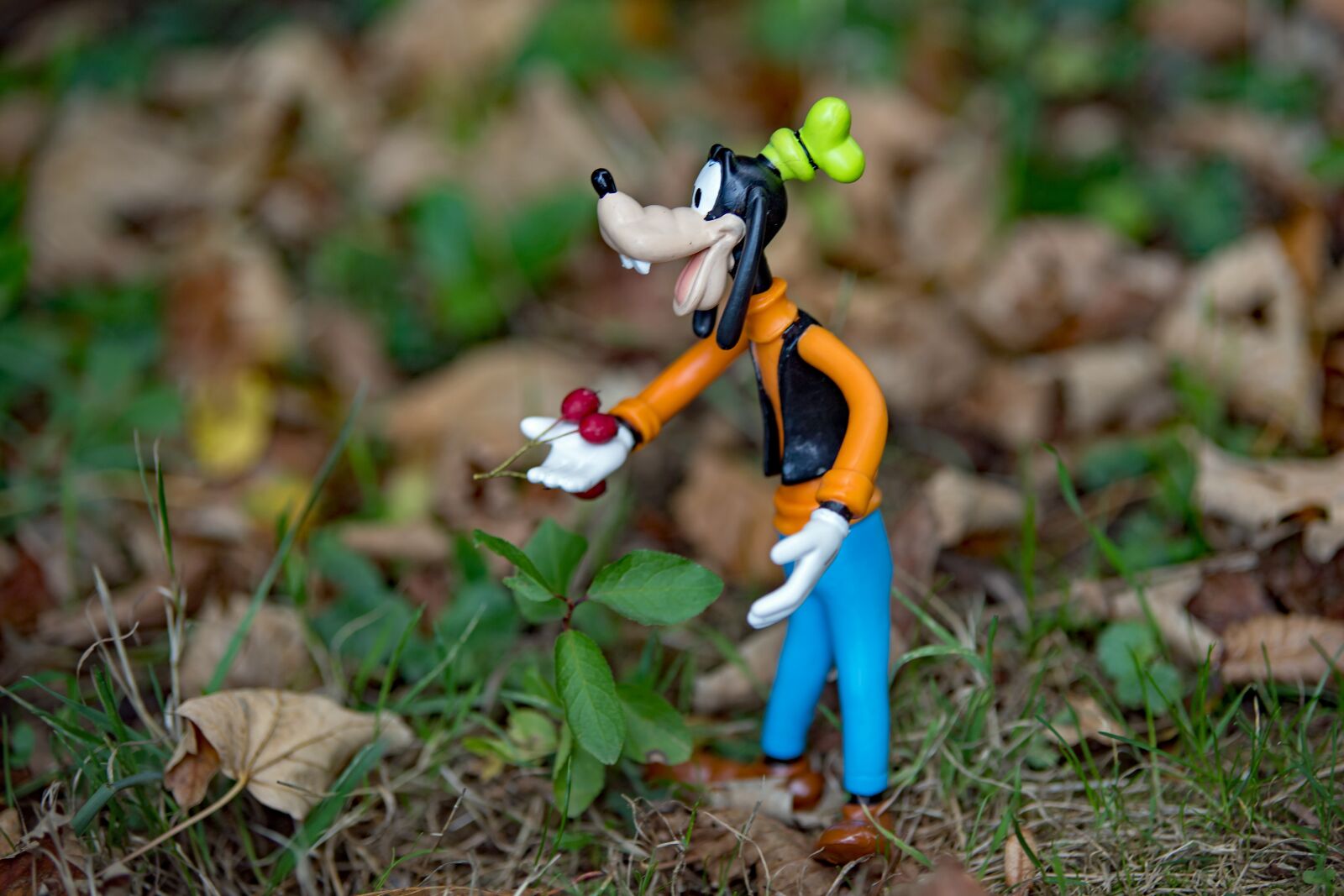 Canon EOS 6D Mark II sample photo. Disney, autumn, goofy photography