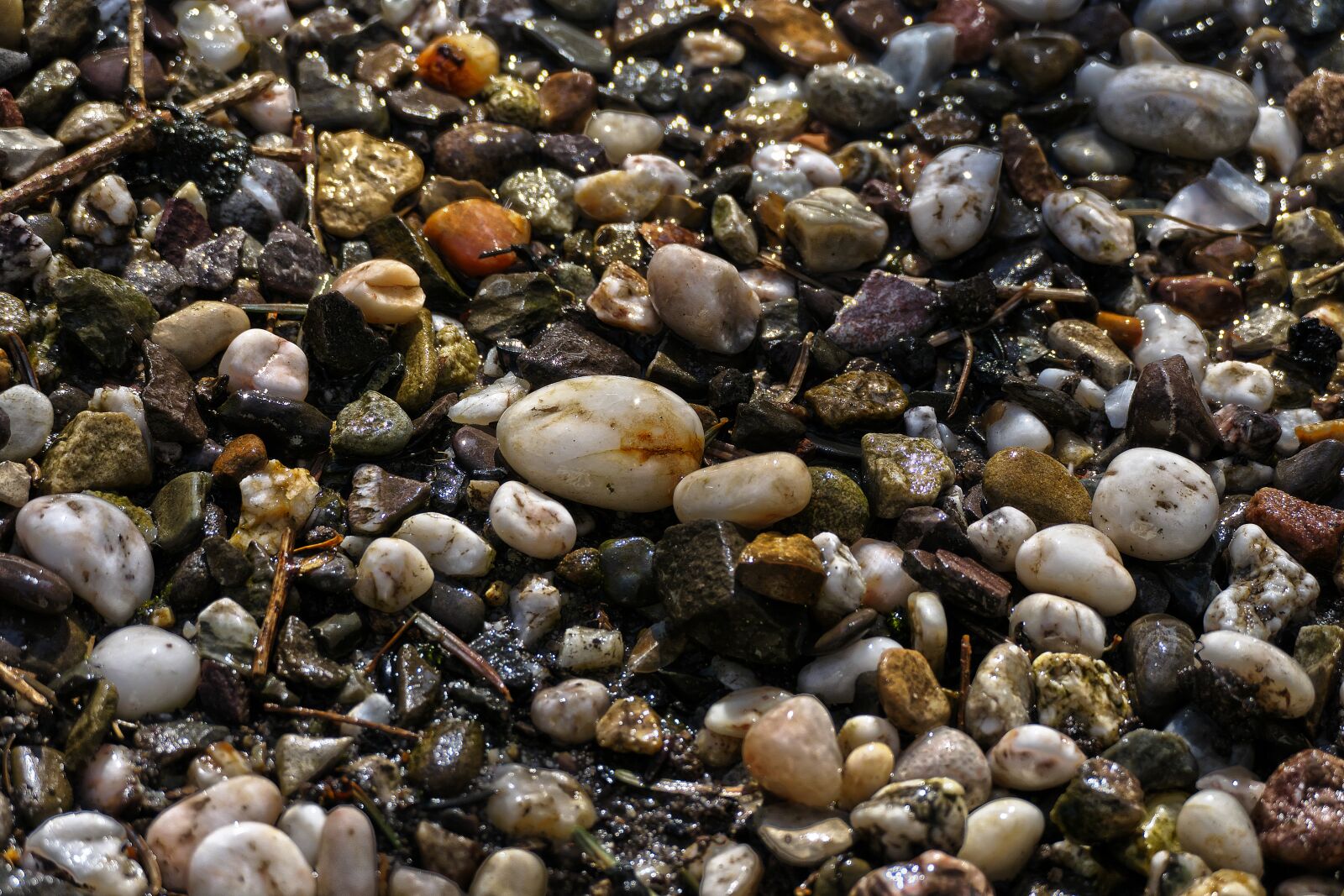 Panasonic Lumix DMC-FZ1000 sample photo. Pebbles, wet, deco photography