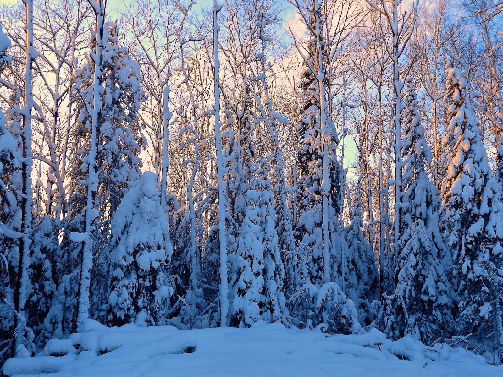 Fujifilm FinePix S8600 sample photo. Winter, snow, cold photography