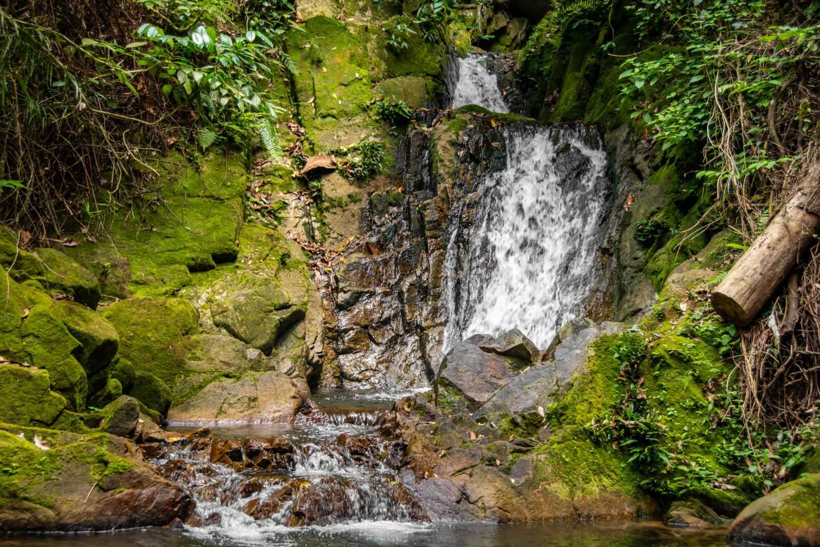 Nikon D5600 sample photo. Waterfall, mountains, nature photography