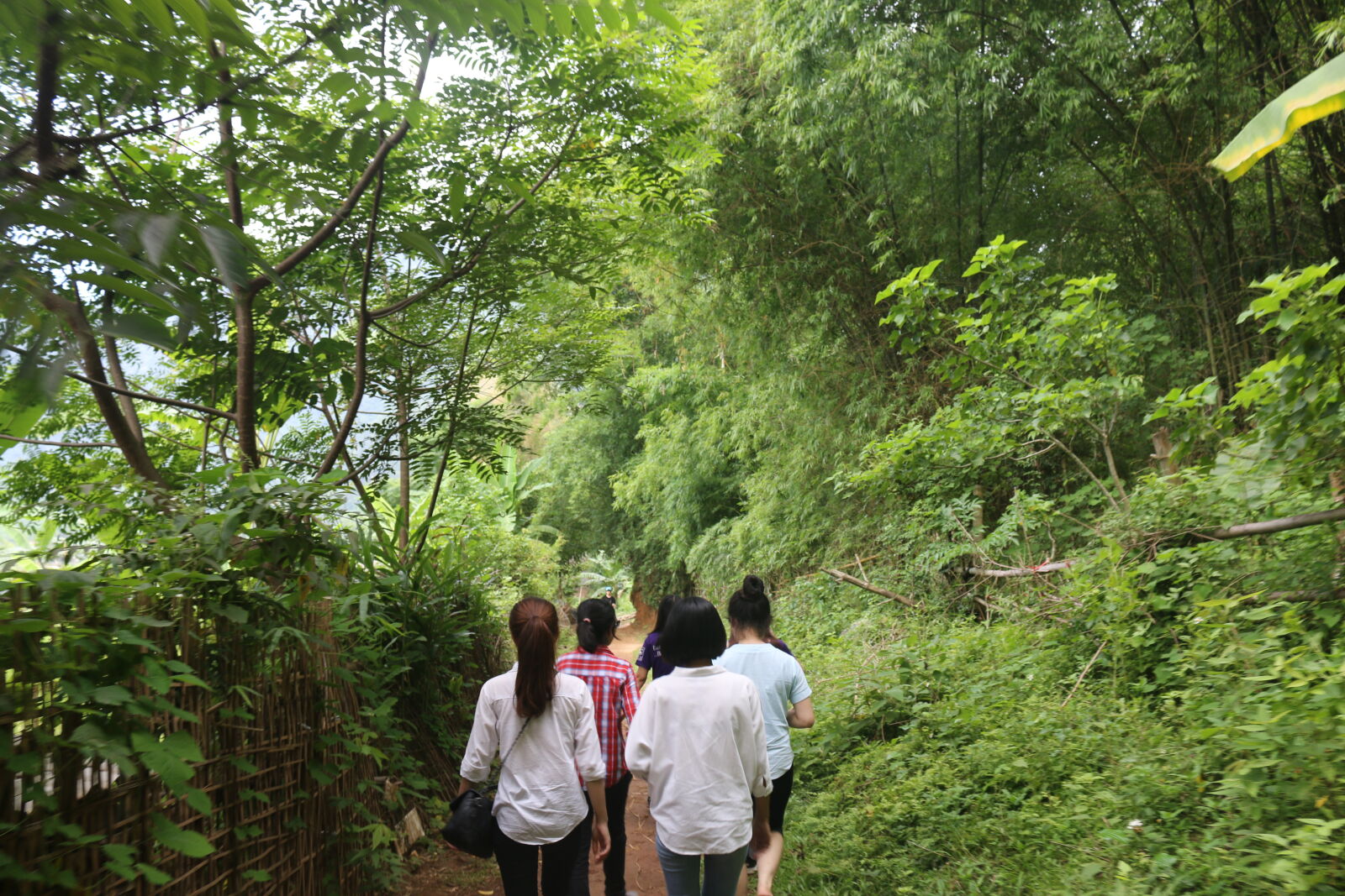 Canon EOS 70D sample photo