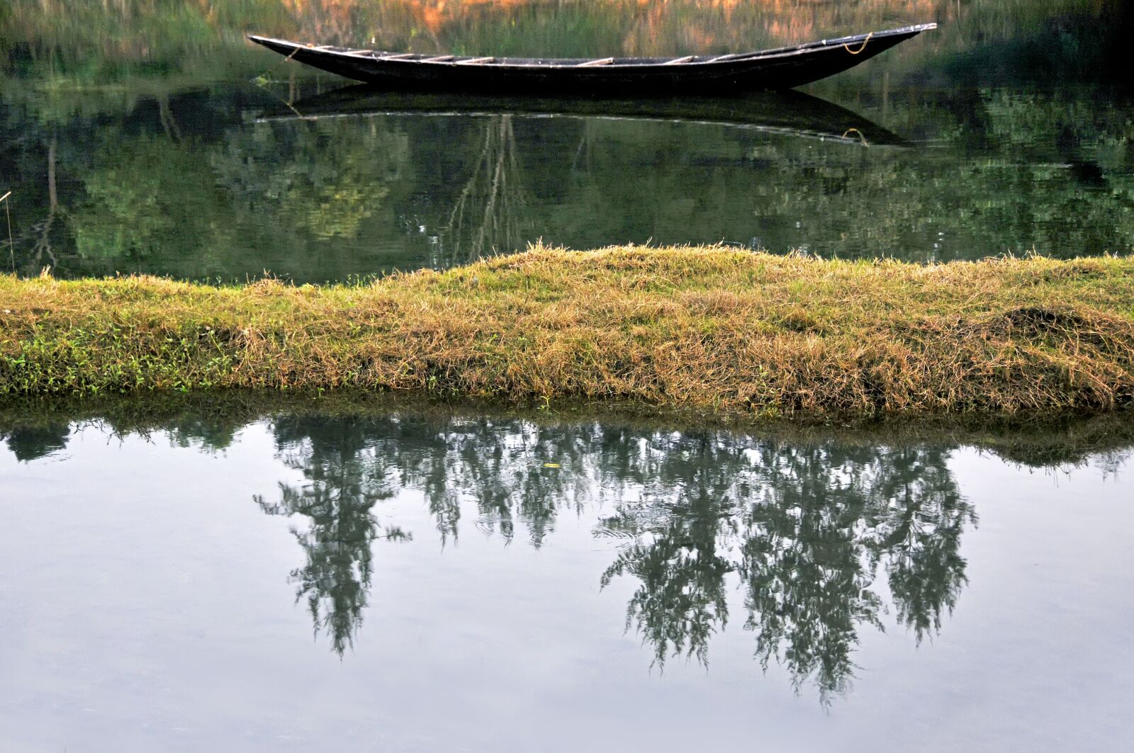 Nikon D300S sample photo. India, rural, nature photography