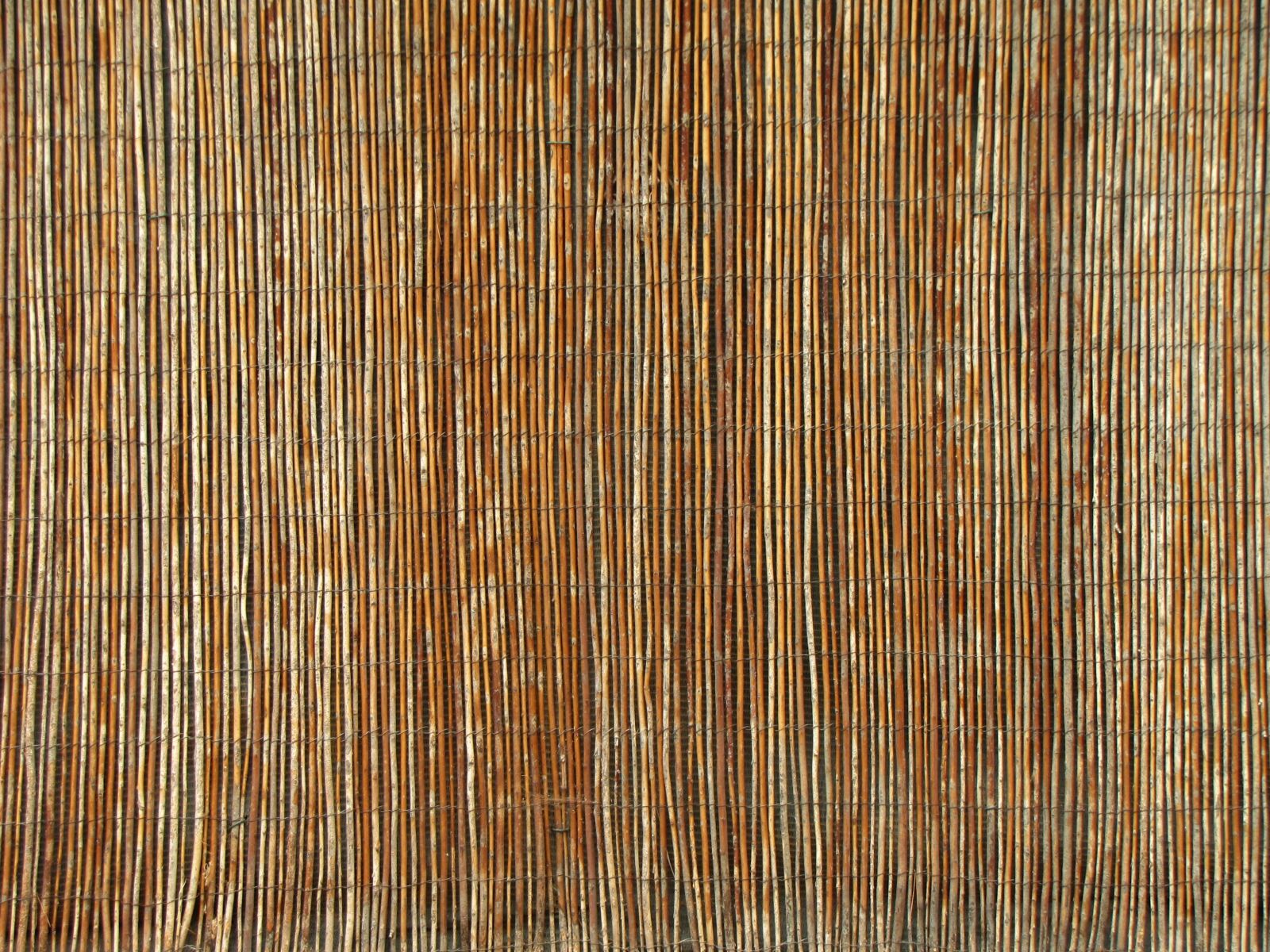 Canon PowerShot SX20 IS sample photo. Cane, background, decor photography