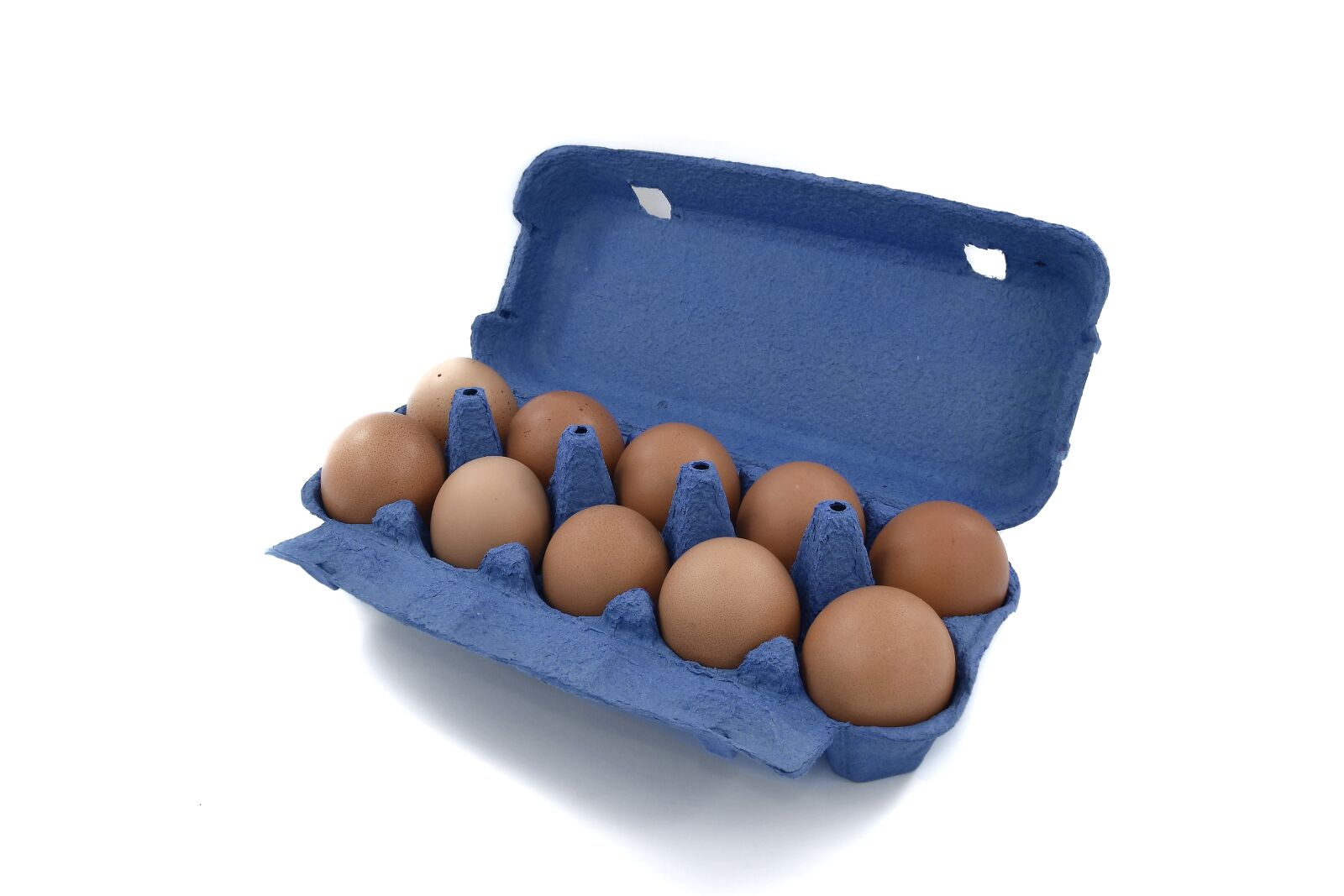 Nikon D5500 sample photo. Egg, egg box, egg photography