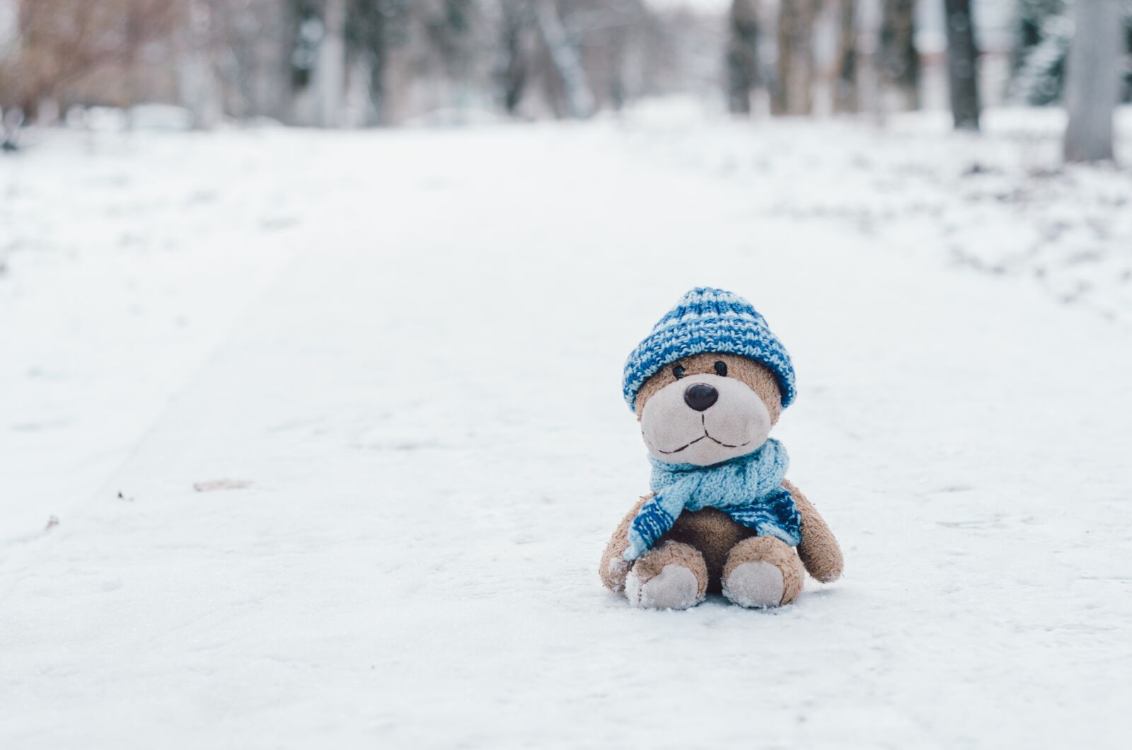 Nikon D7000 sample photo. Snow, winter, teddy bear photography