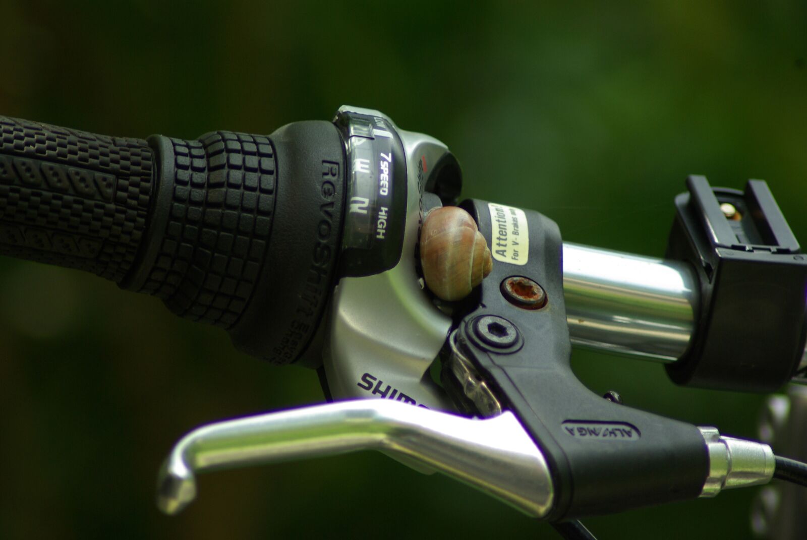 Samsung GX-10 sample photo. Bicycle, bicycle handlebar, snail photography