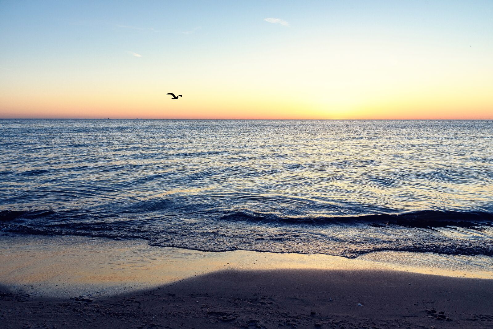 Tamron SP 24-70mm F2.8 Di VC USD sample photo. Sea, sunrise, water photography