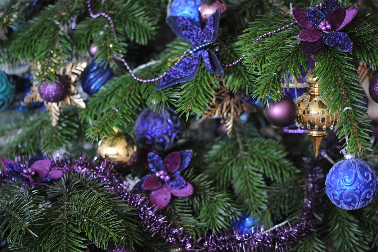 Nikon D700 sample photo. Christmas decorations, fir tree photography