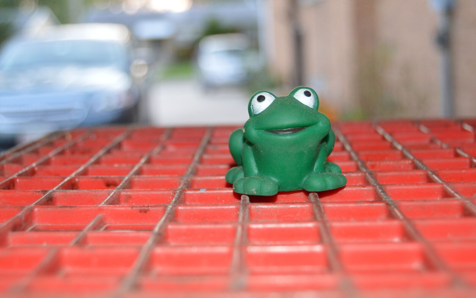 Nikon D3200 sample photo