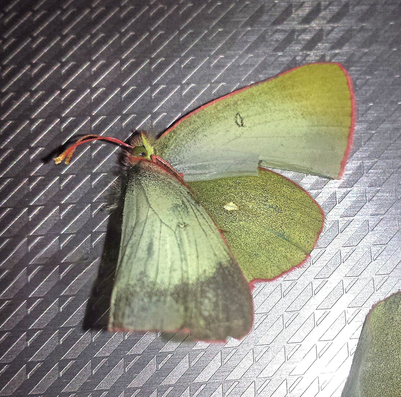 Samsung Galaxy S4 sample photo