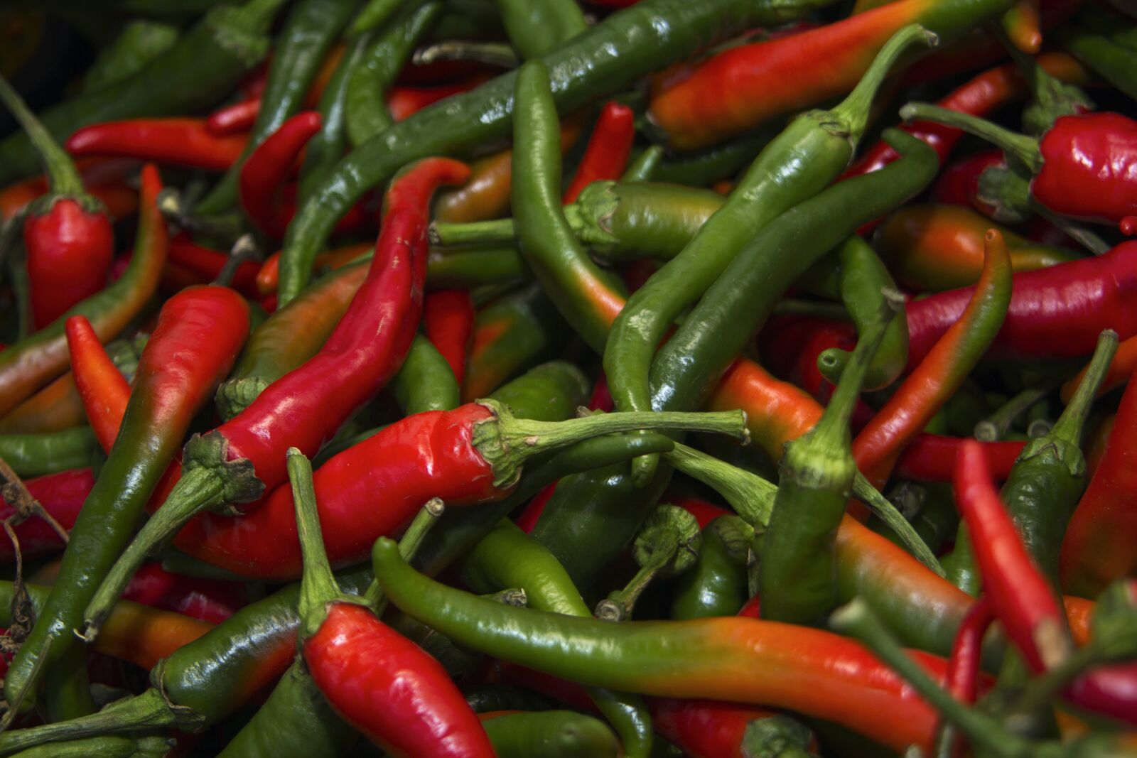 Canon EOS 600D (Rebel EOS T3i / EOS Kiss X5) sample photo. Pepper, chilli, spicy photography