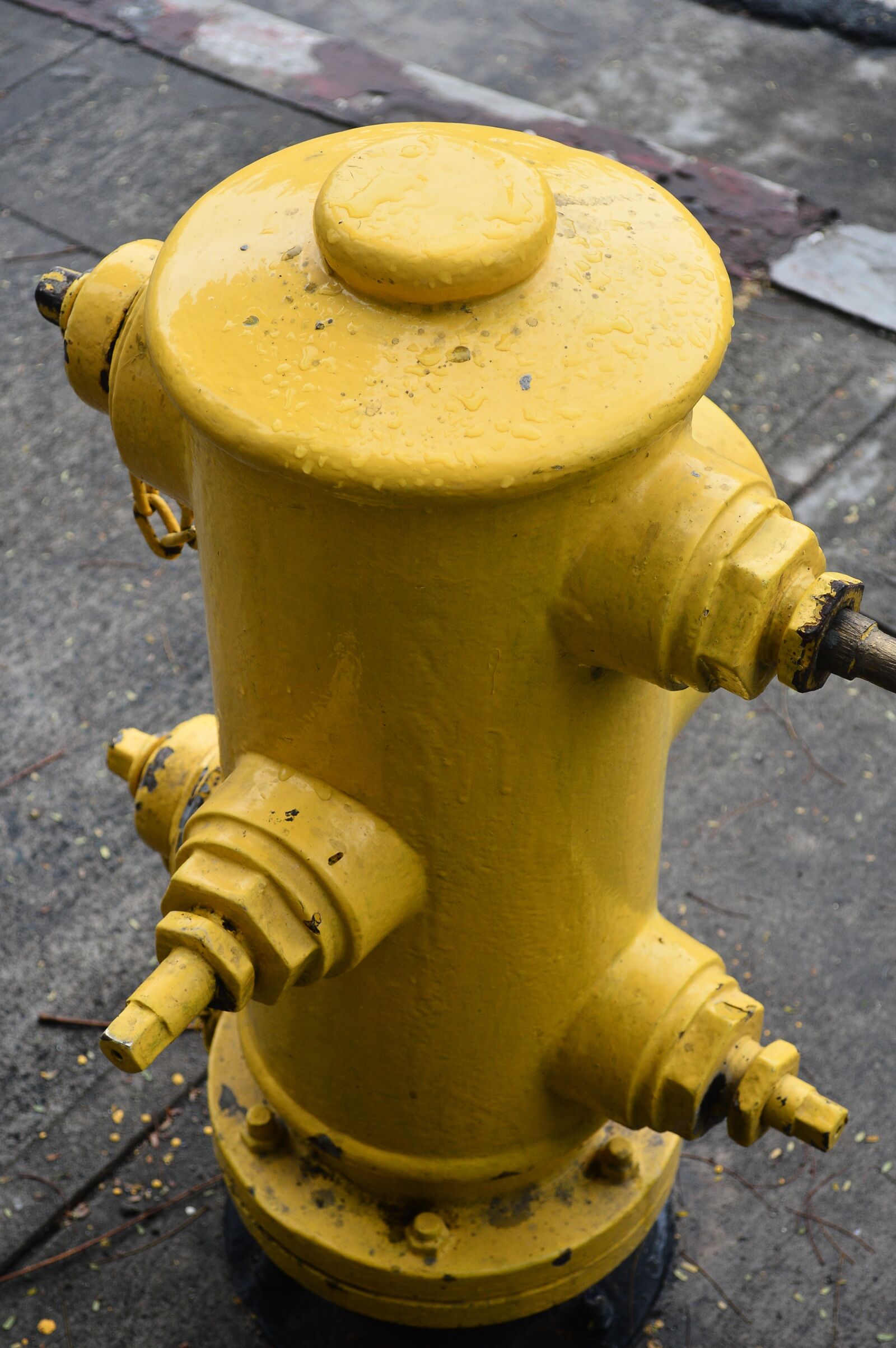 Nikon D3200 sample photo. Water, hydrant, yellow photography