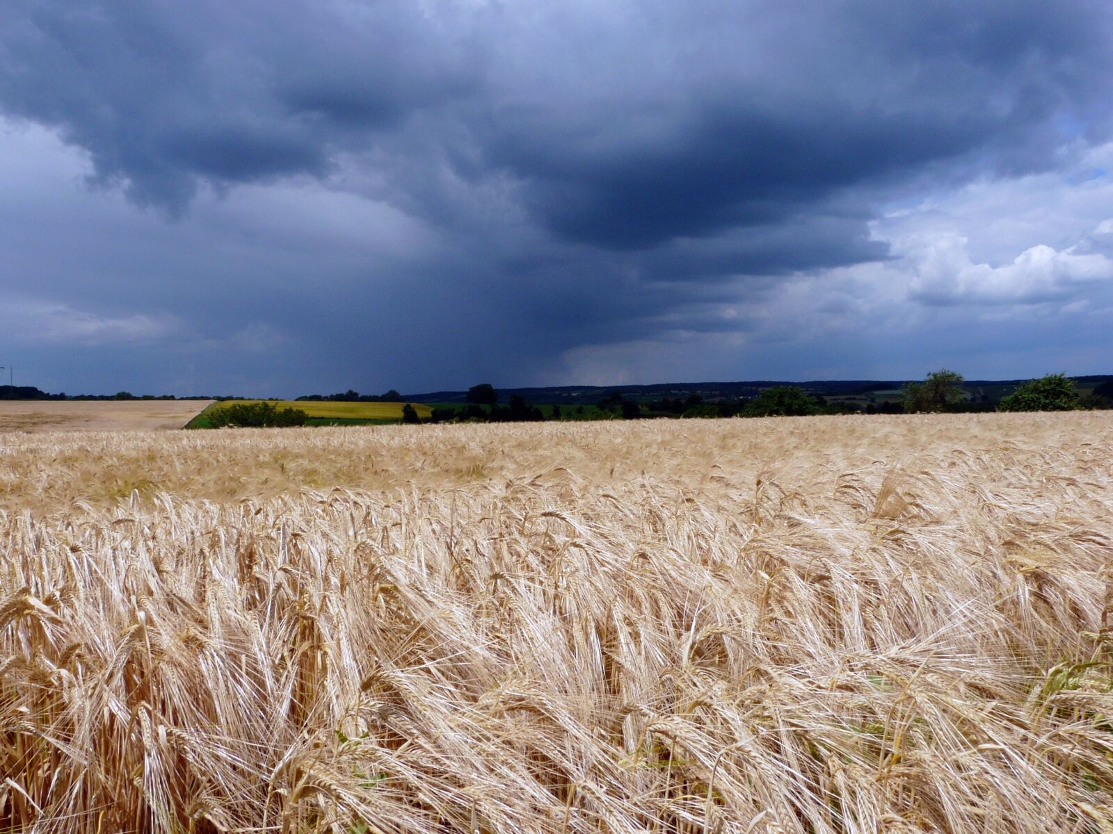 Panasonic DMC-FZ18 sample photo. Field, landscape, dark clouds photography