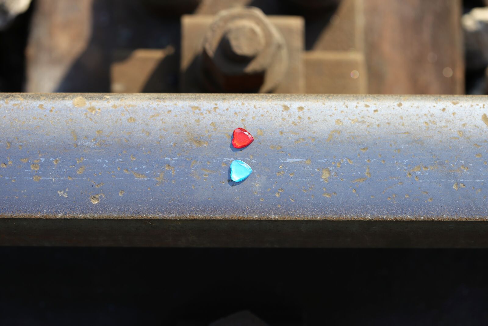 Canon EOS 6D + Canon EF 100mm F2.8 Macro USM sample photo. Forbidden love, stop youth photography