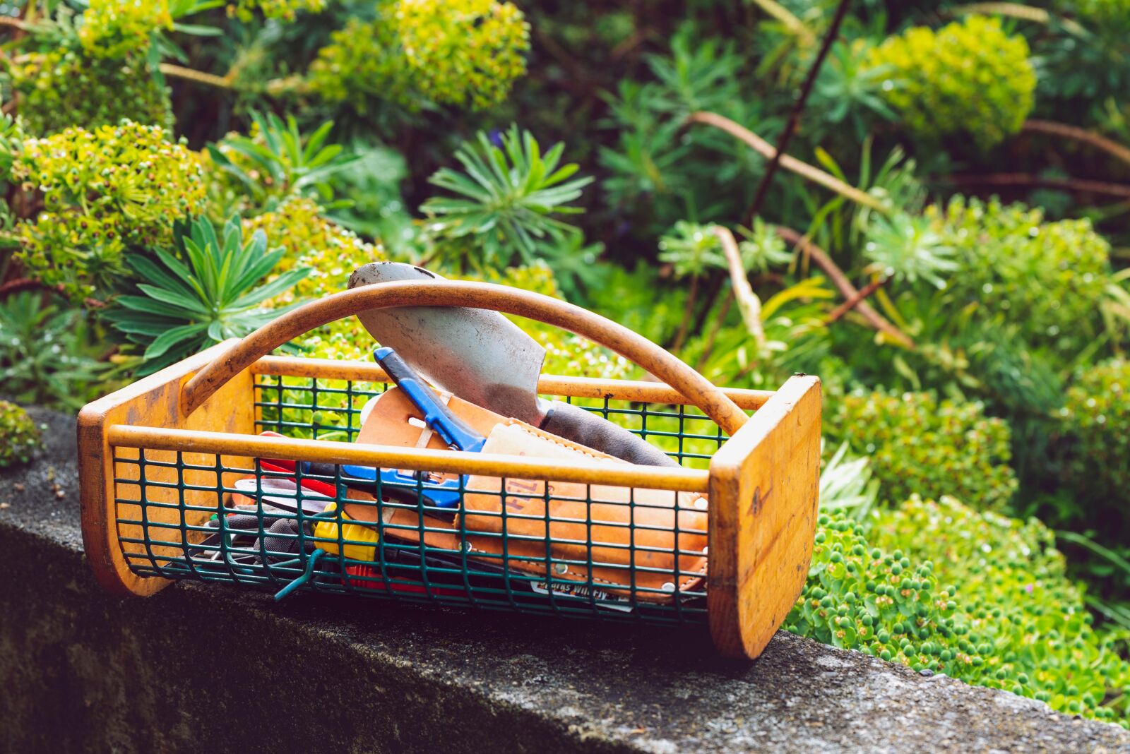 Nikon D750 sample photo. Garden, gardening, garden tools photography