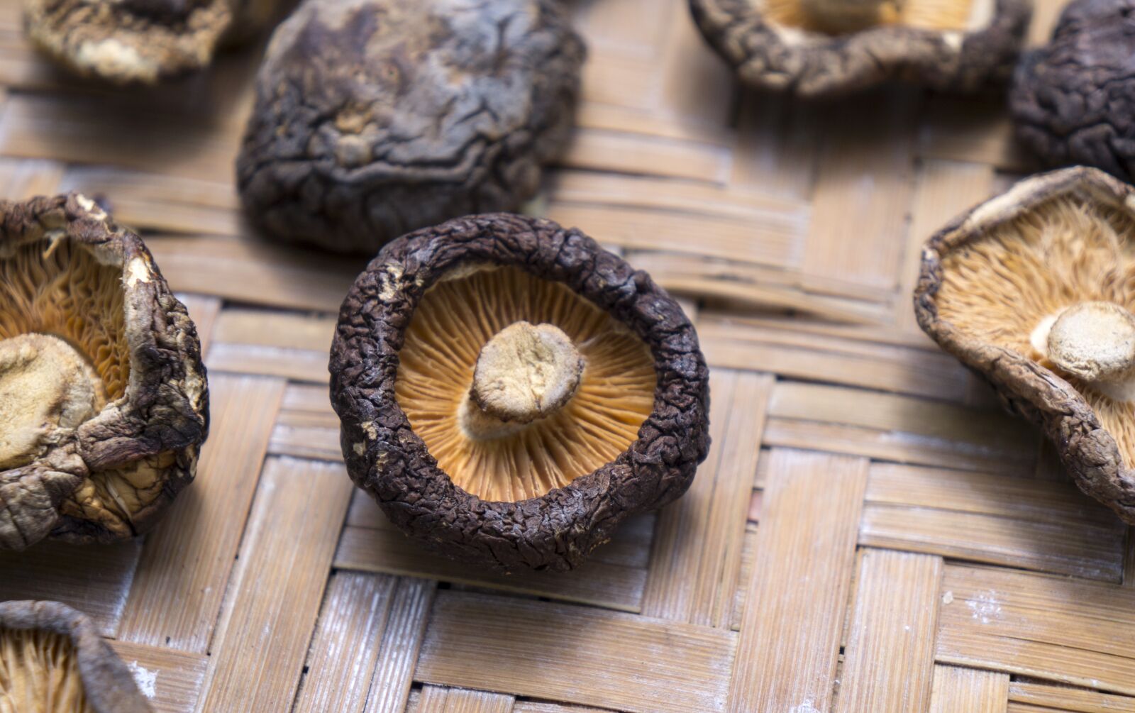 Sony Alpha NEX-F3 + Sony E 18-55mm F3.5-5.6 OSS sample photo. Food, shiitake mushrooms, dried photography