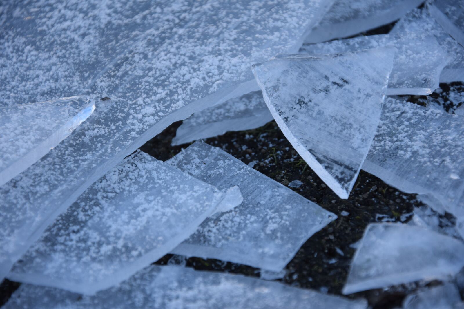 Nikon D3300 sample photo. Ice, winter, frozen photography