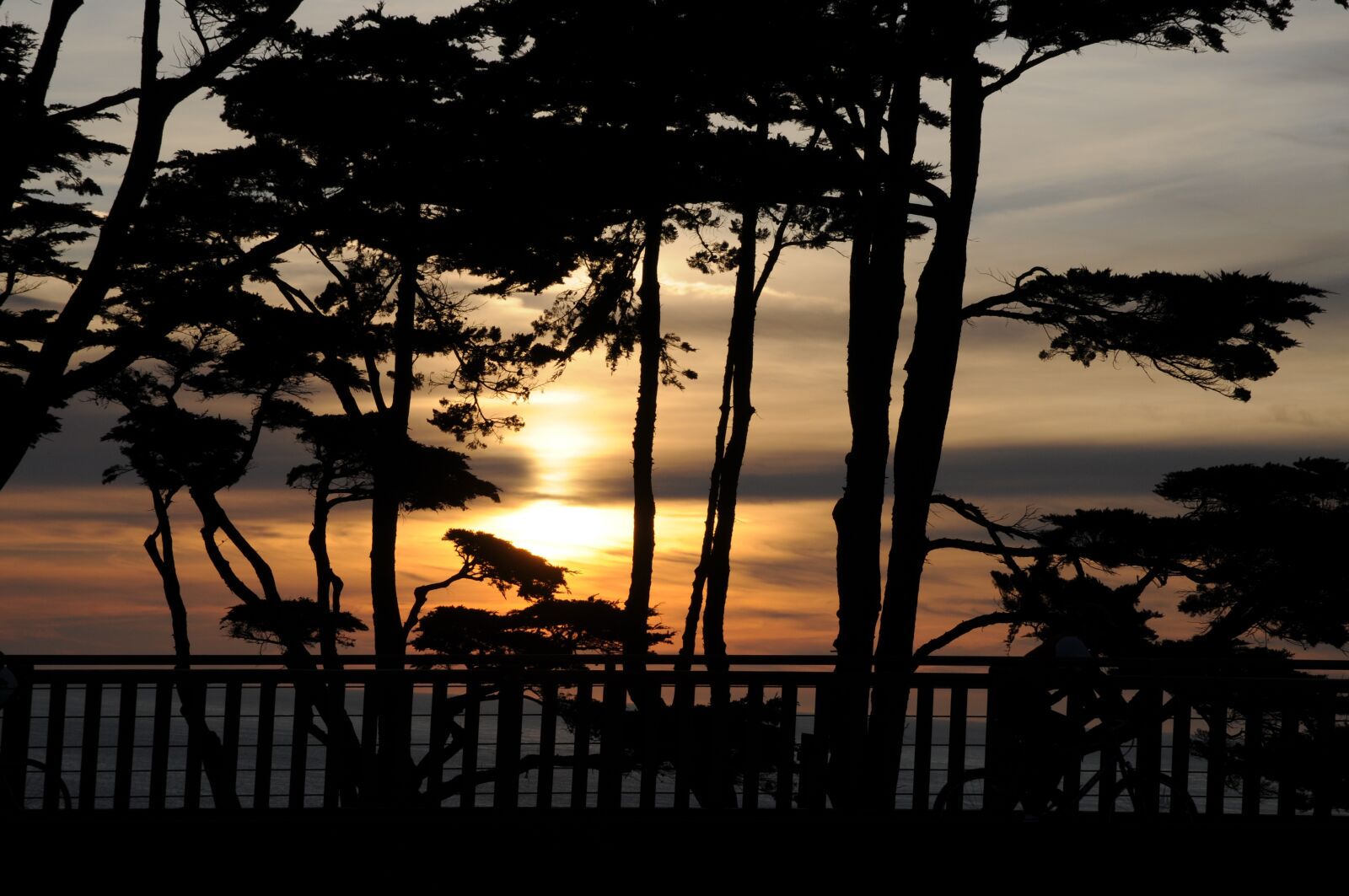 Nikon D300 sample photo. Body of water, sunset photography