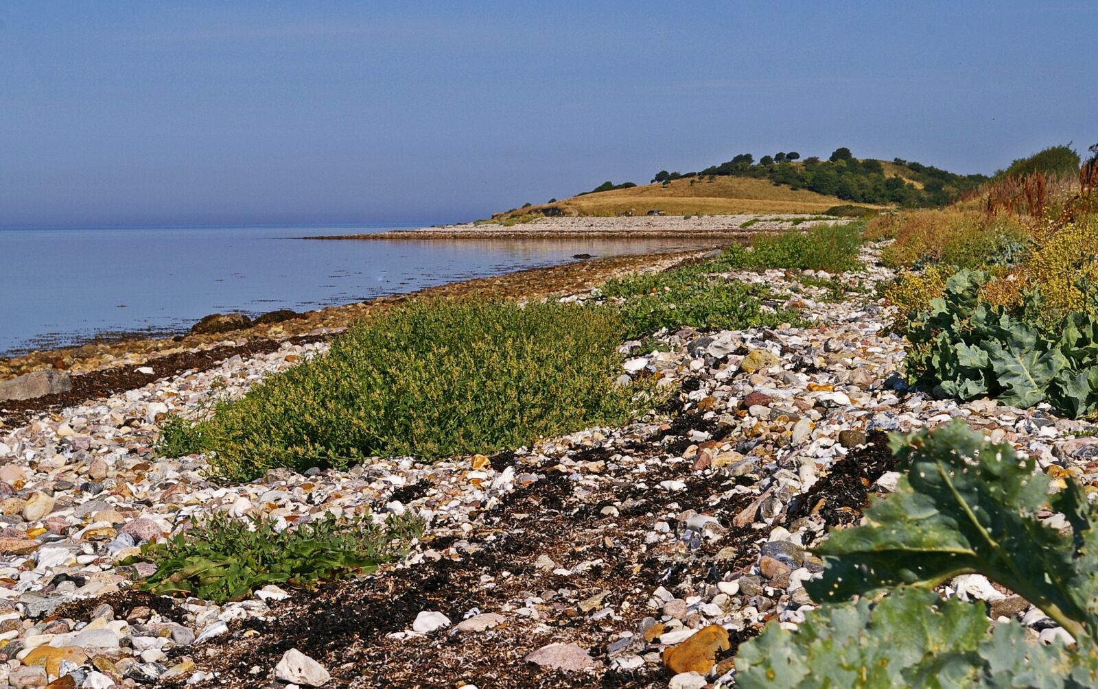 Pentax *ist DL2 sample photo. Denmark, danish coast, island photography