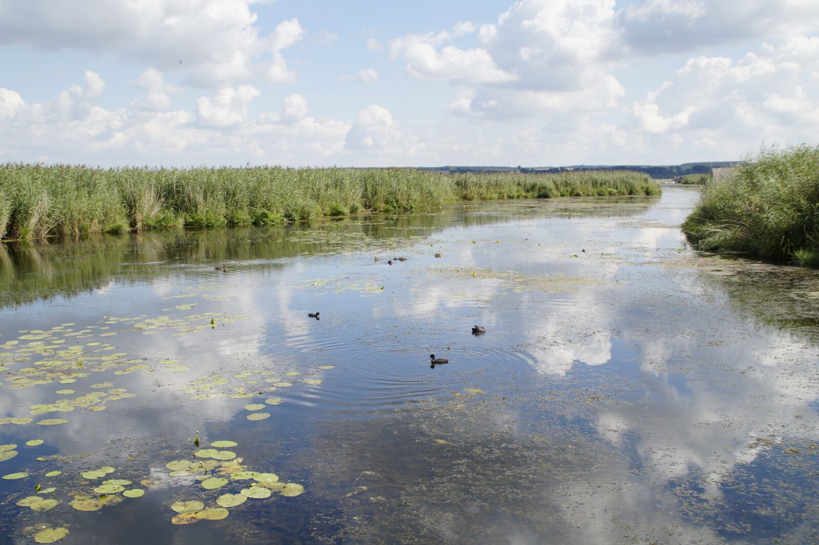 Sony SLT-A58 sample photo. Landscape, spring lake, nature photography