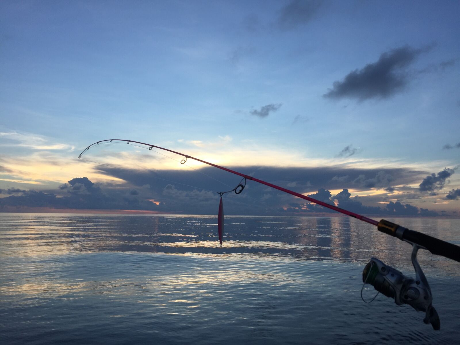 Apple iPhone 6 sample photo. Sea, sea fishing, fish photography