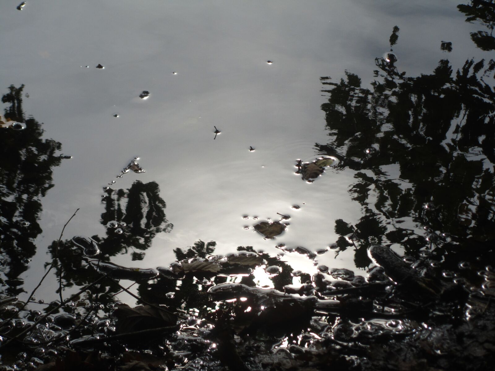 Canon PowerShot SX210 IS sample photo. Water, lake, pond photography