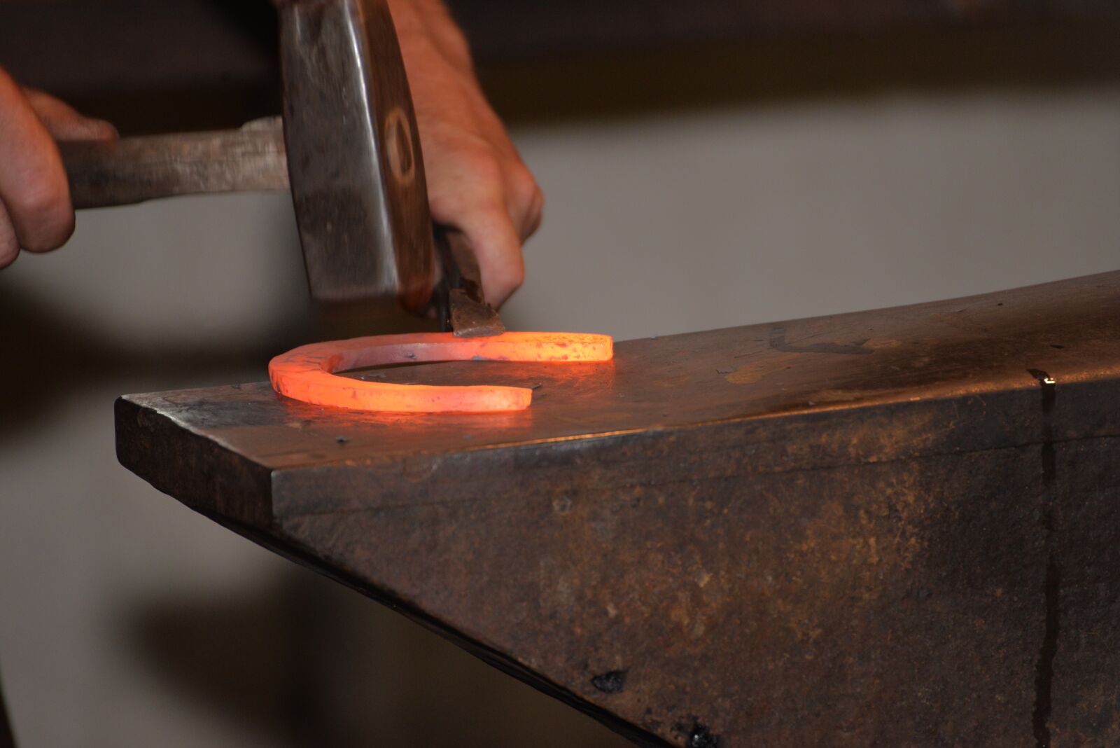 Nikon D610 sample photo. Artisan, crafts, horseshoe photography