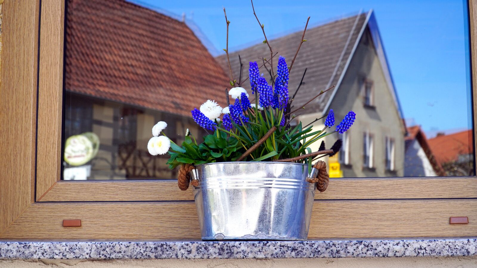 Sony E PZ 18-105mm F4 G OSS sample photo. Flowers, spring flowers, early photography
