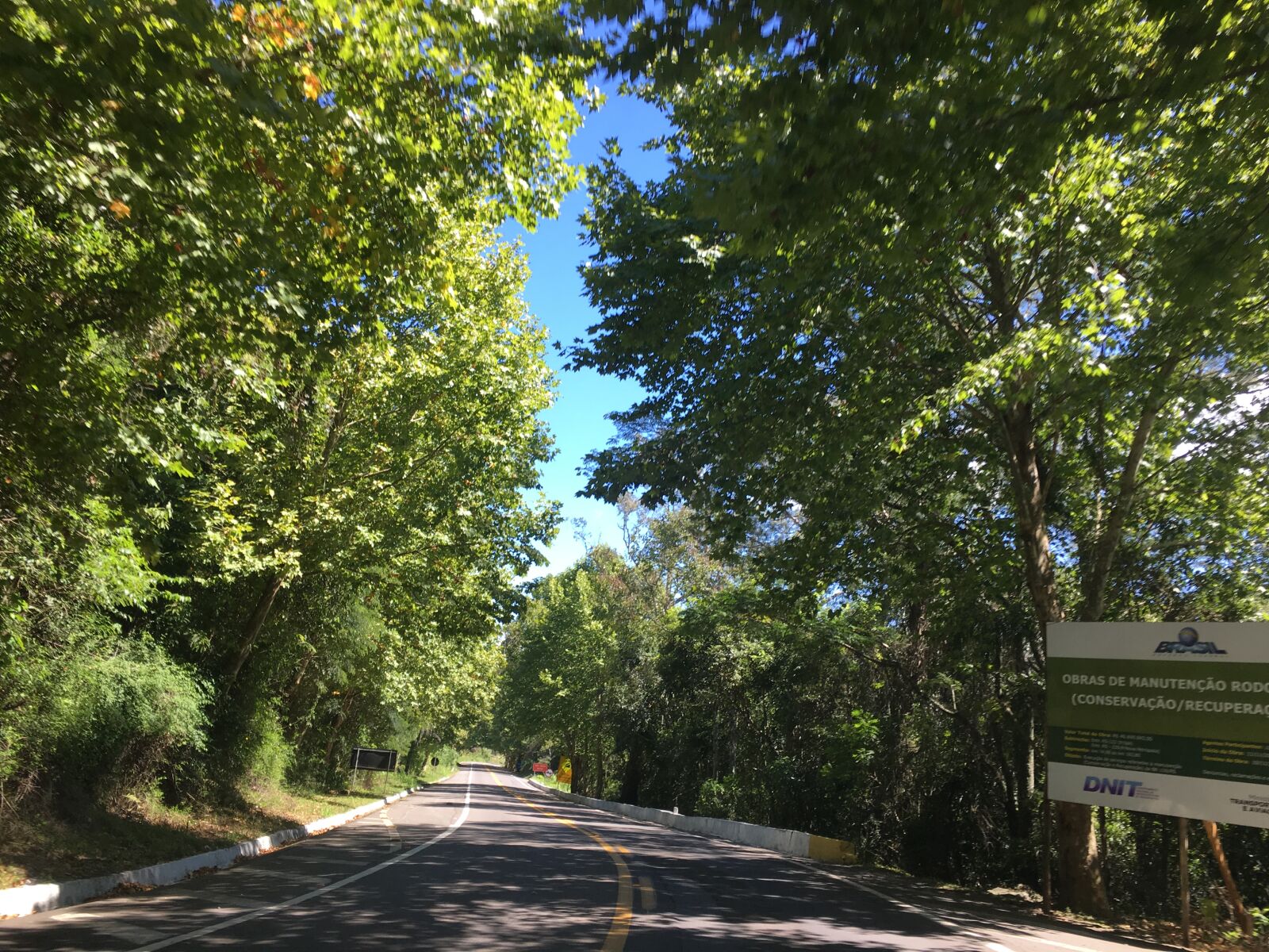 iPhone 6s back camera 4.15mm f/2.2 sample photo