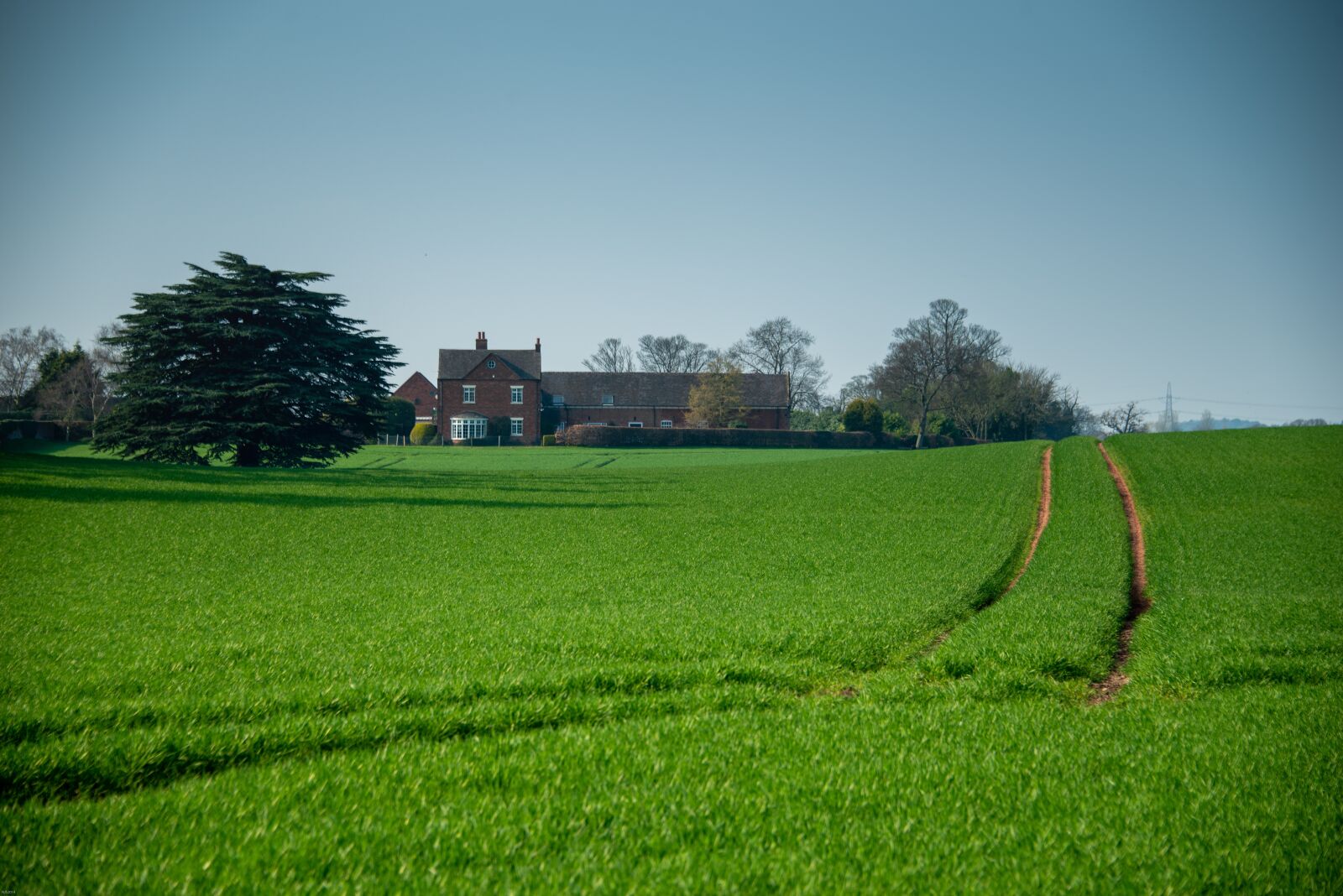 Nikon D800 sample photo. Farm, crop, agriculture photography