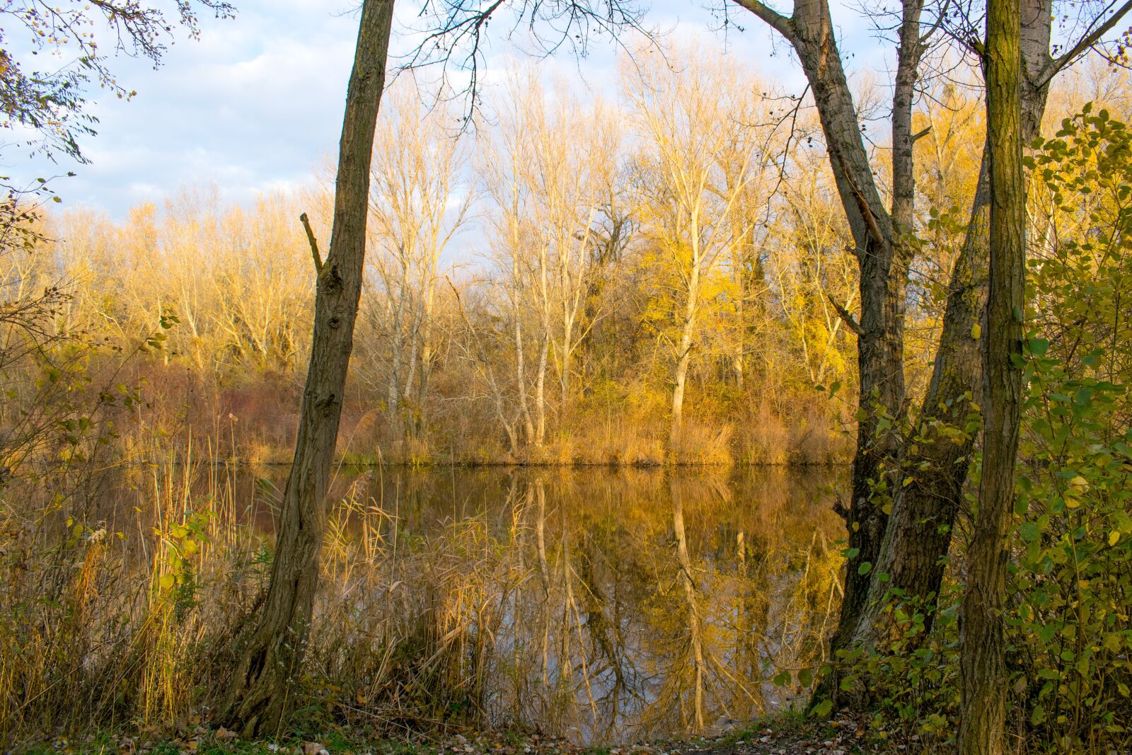Nikon D3300 sample photo. Autumn, jazero, lake photography