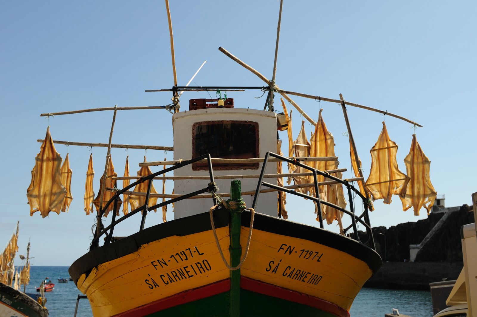 Nikon D300 sample photo. Madeira, portugal, boat photography