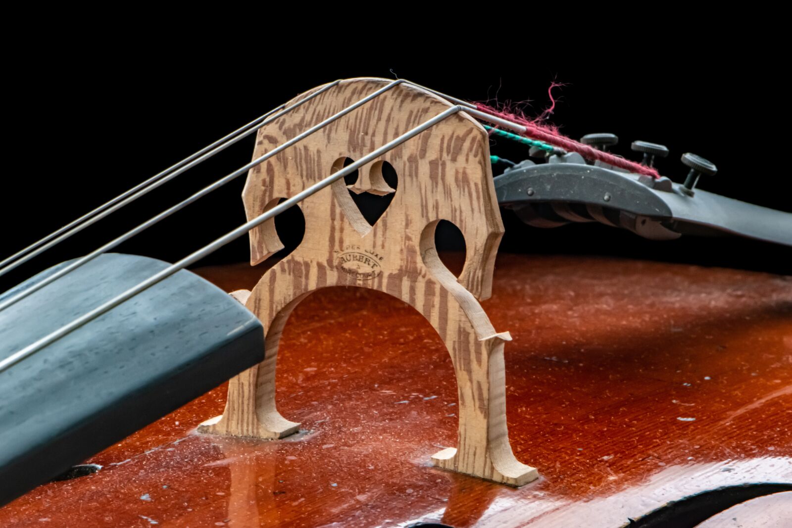 Nikon D5600 sample photo. Bridge, cello, musical instrument photography