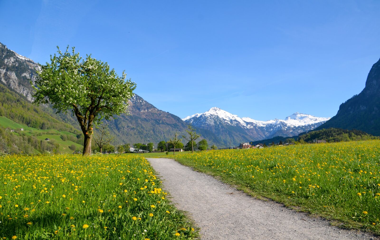 Nikon D7000 sample photo. Hiking, alpine, landscape photography