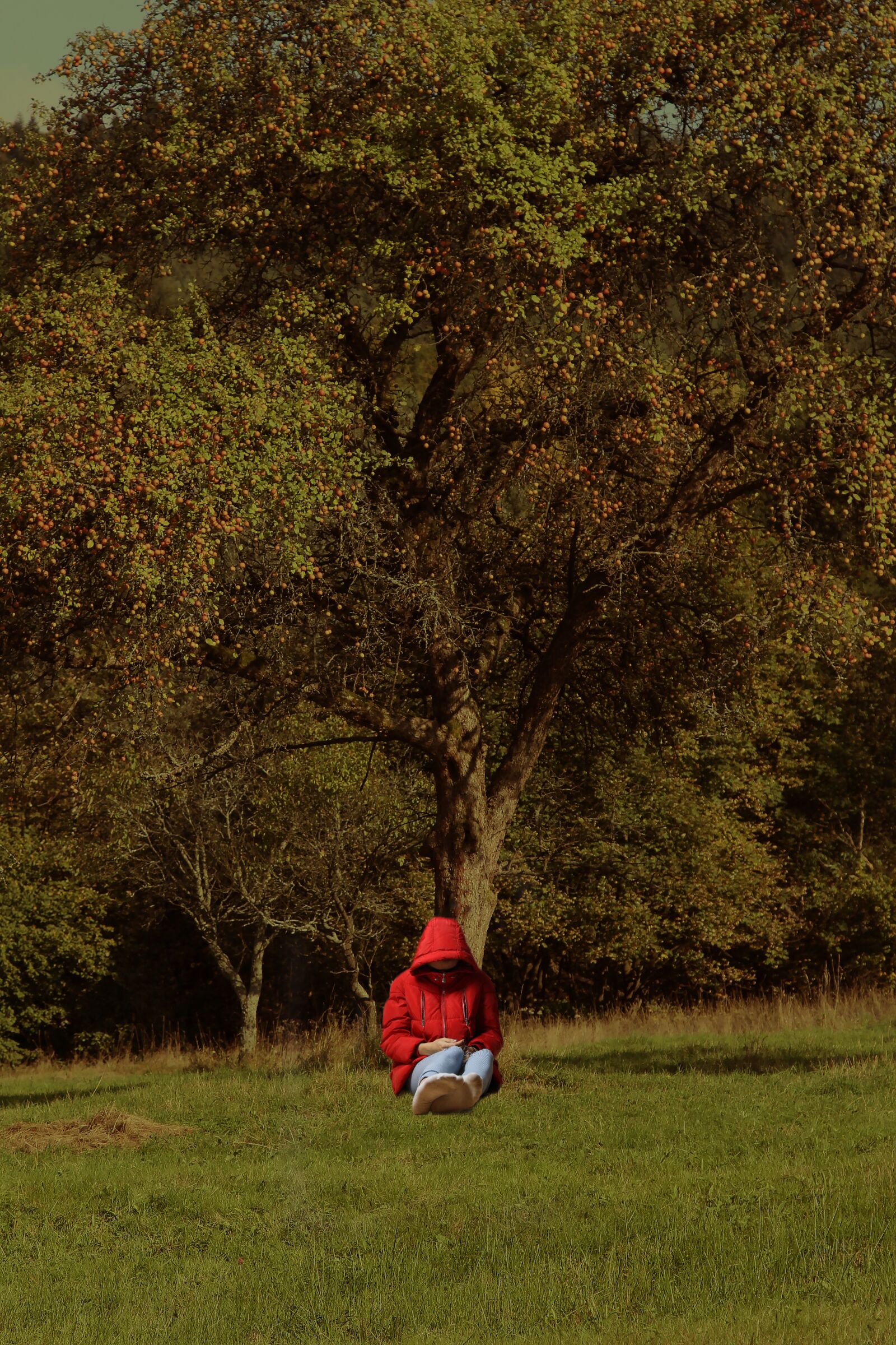 Canon EOS 7D sample photo. A person, people, woman photography
