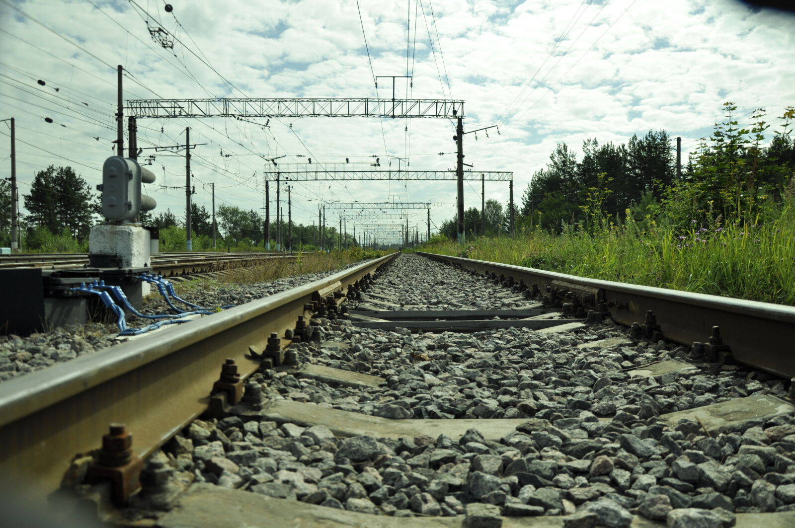 Nikon D5000 sample photo