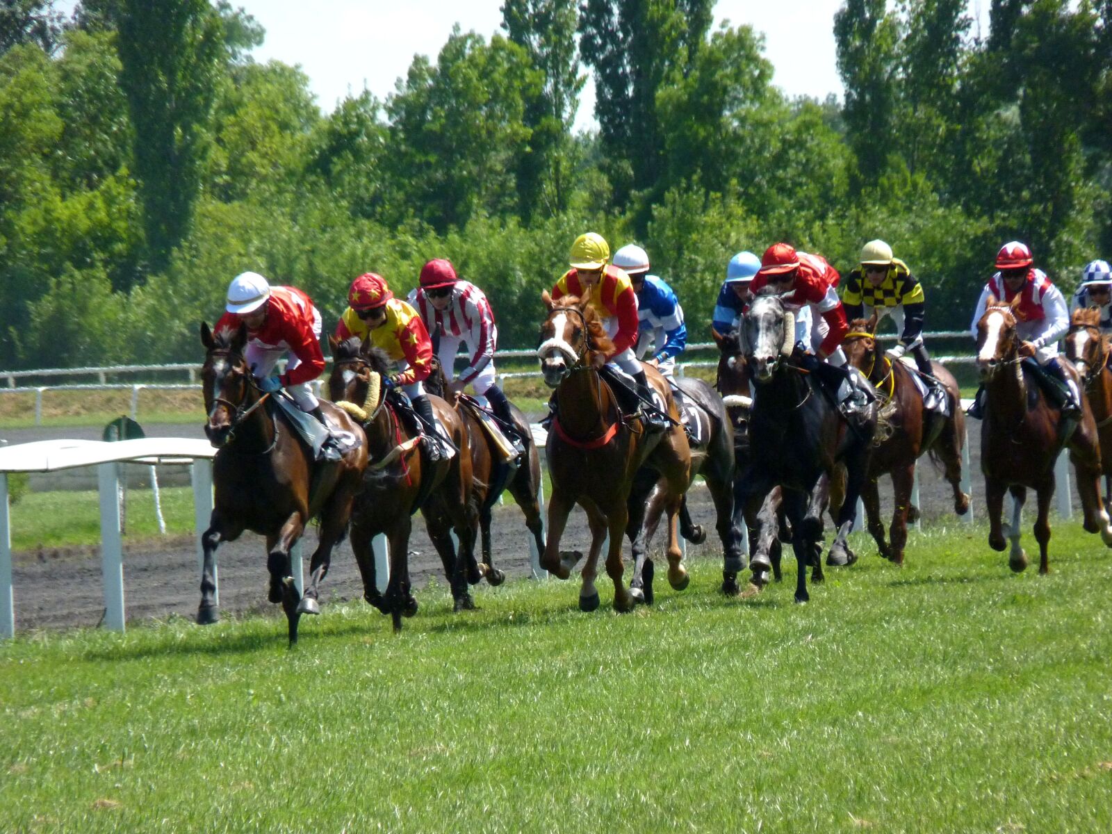 Panasonic Lumix DMC-FZ35 (Lumix DMC-FZ38) sample photo. Race, racing, horse photography
