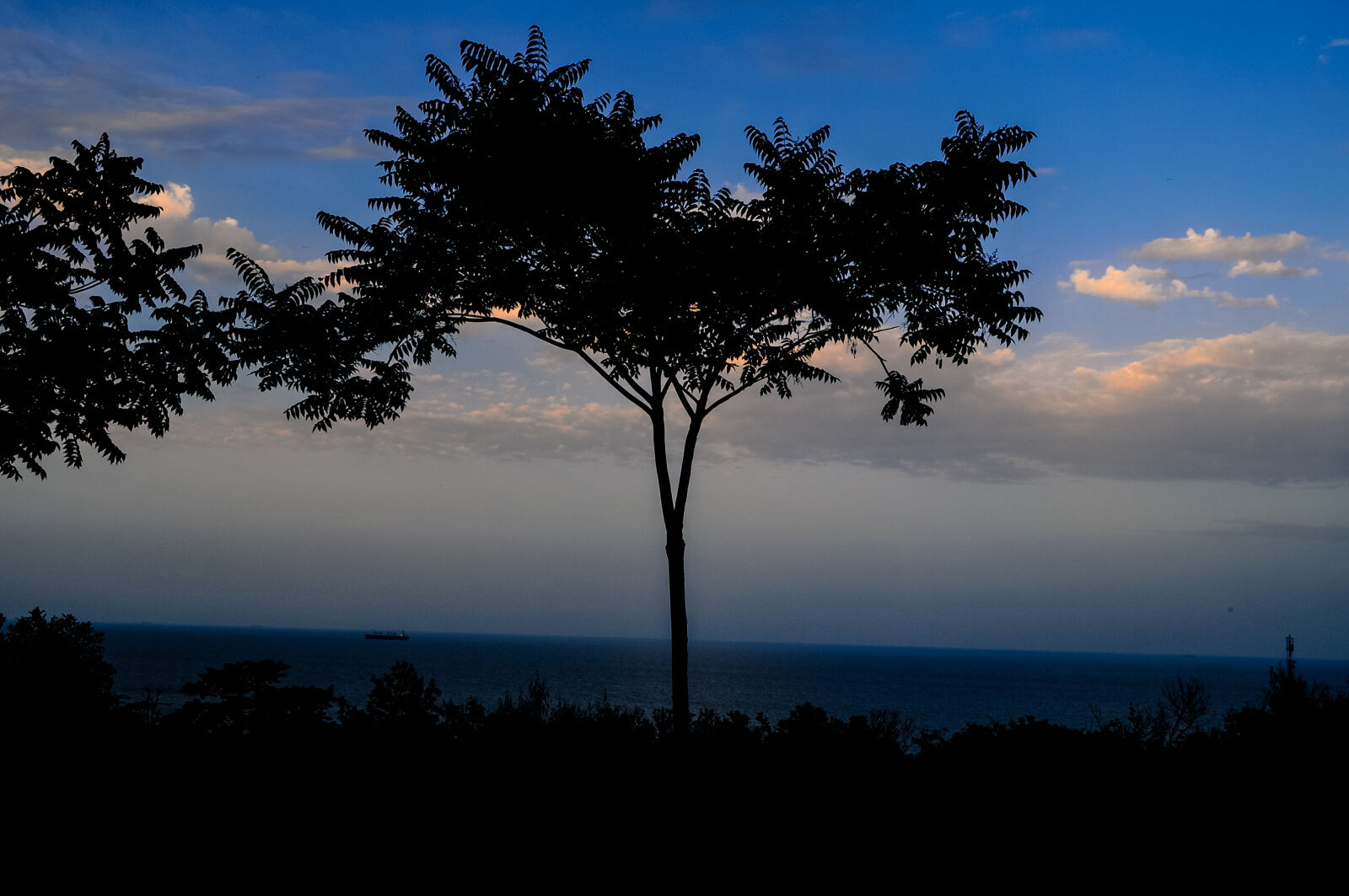 Nikon D5000 sample photo. Lake, lakeside, landscape, nature photography