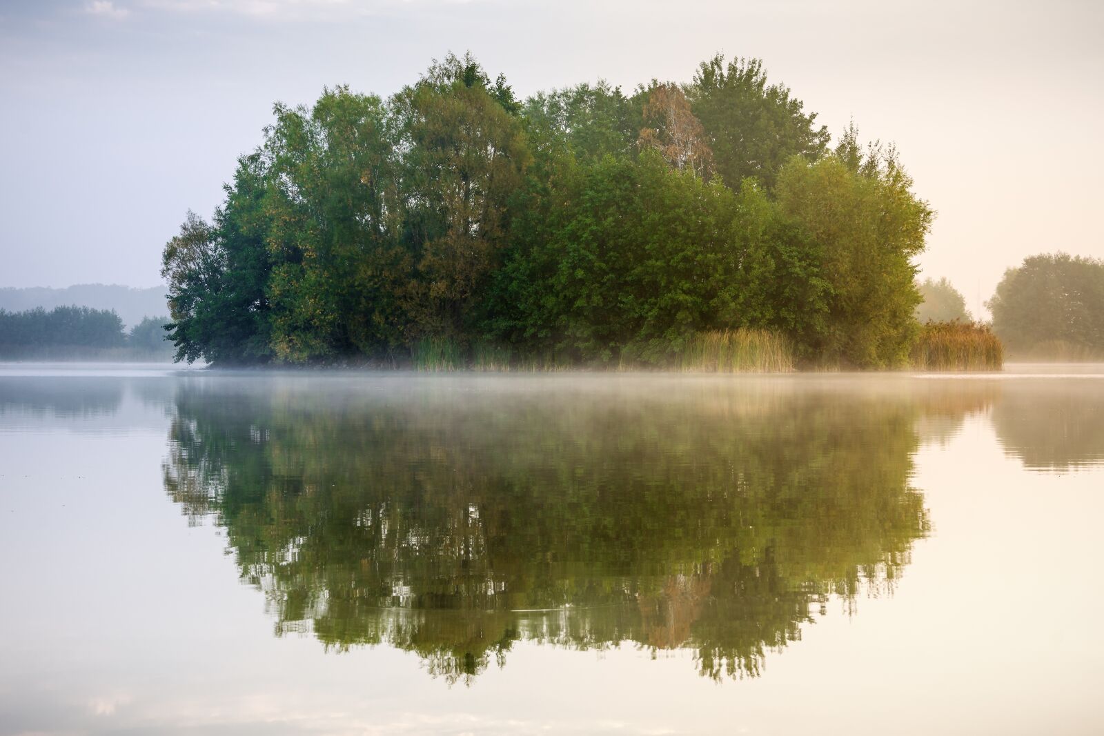 Nikon D7200 sample photo. Lake, mirroring, fog photography