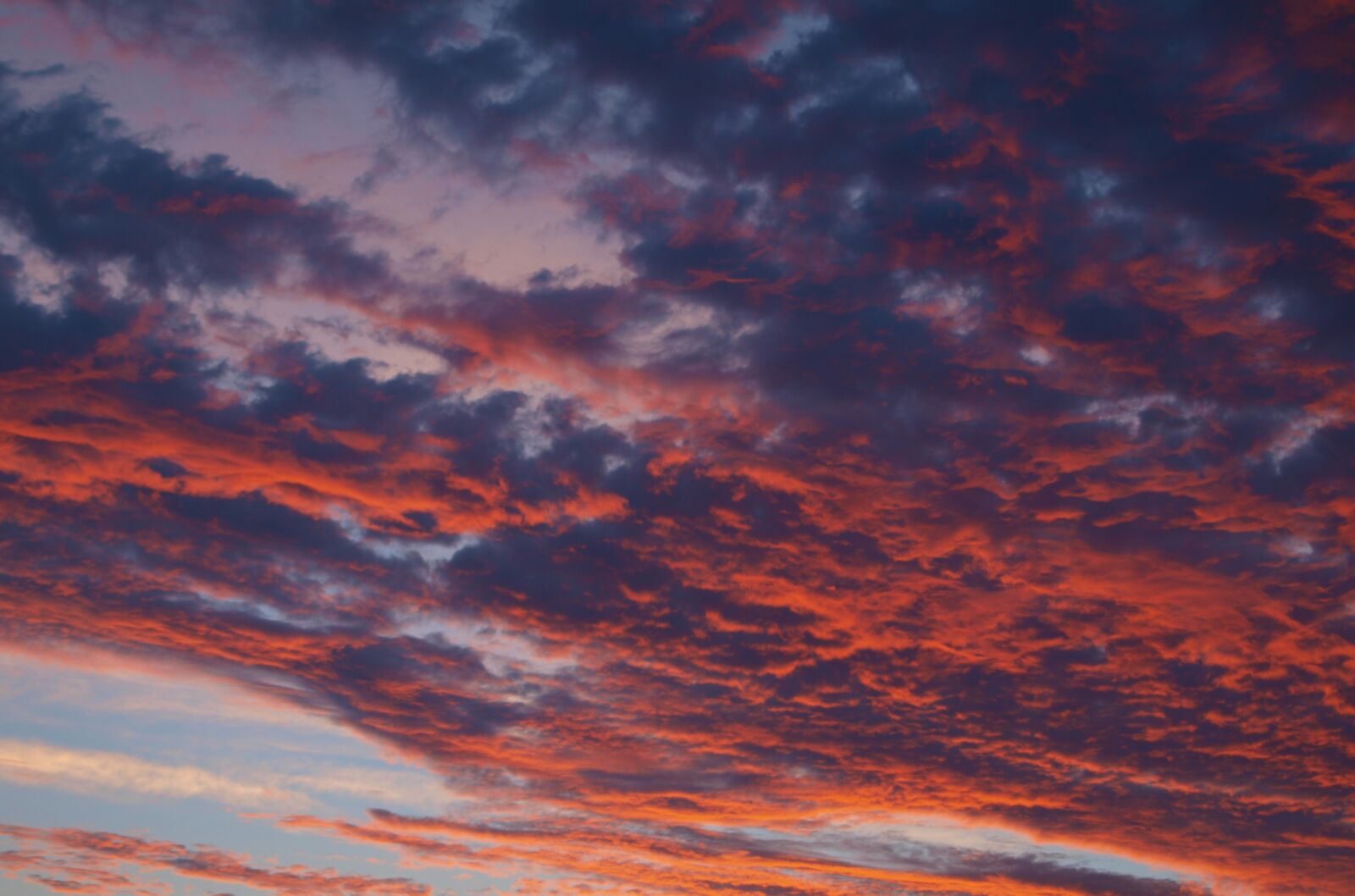 Olympus E-420 (EVOLT E-420) sample photo. Sunset, sunrise, sun photography