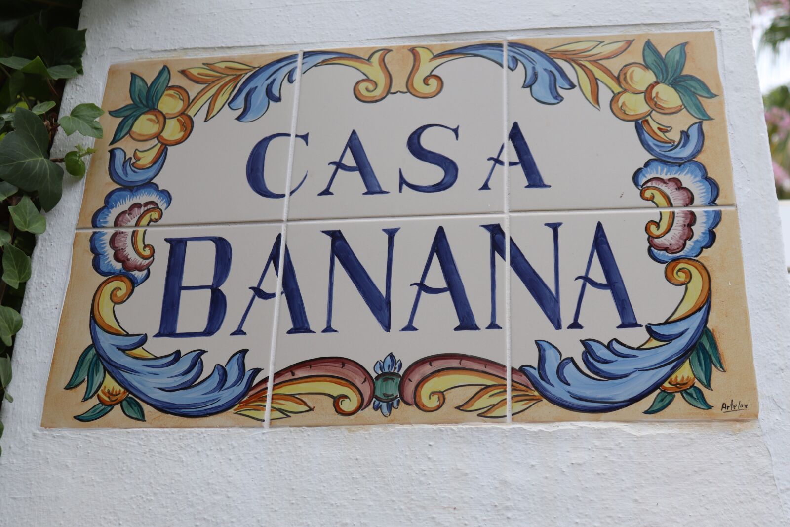 Canon EOS 200D (EOS Rebel SL2 / EOS Kiss X9) sample photo. Casa, banana, shield photography