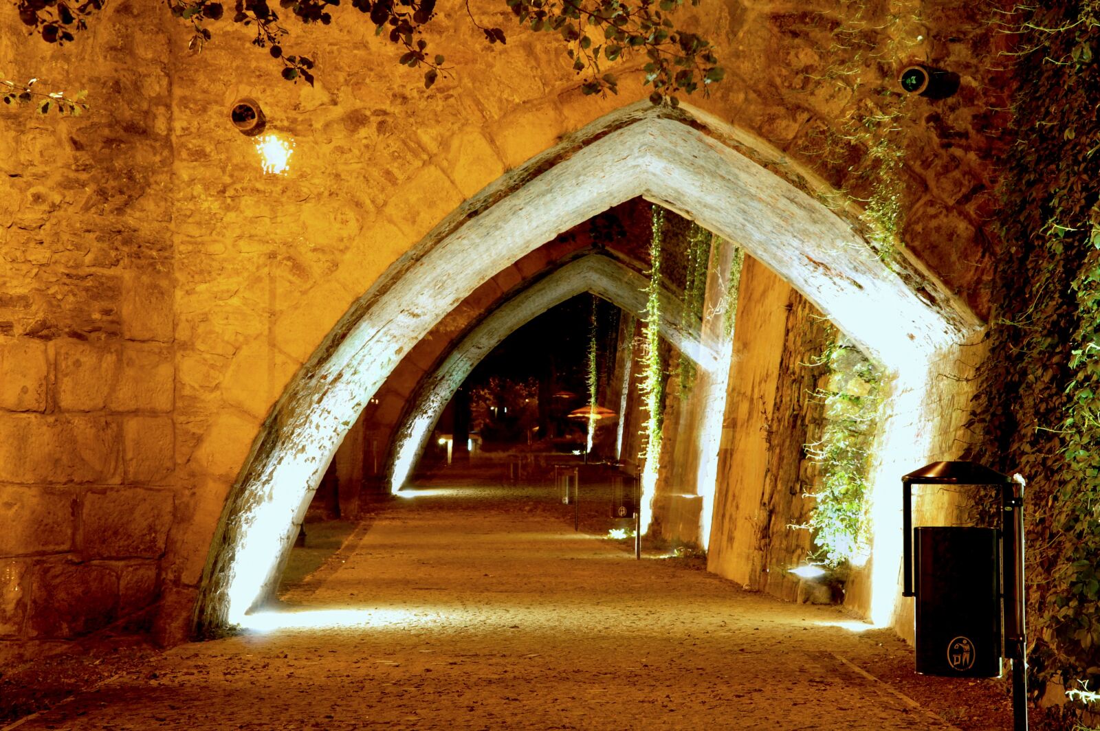 Nikon D90 sample photo. The bridge of veit photography