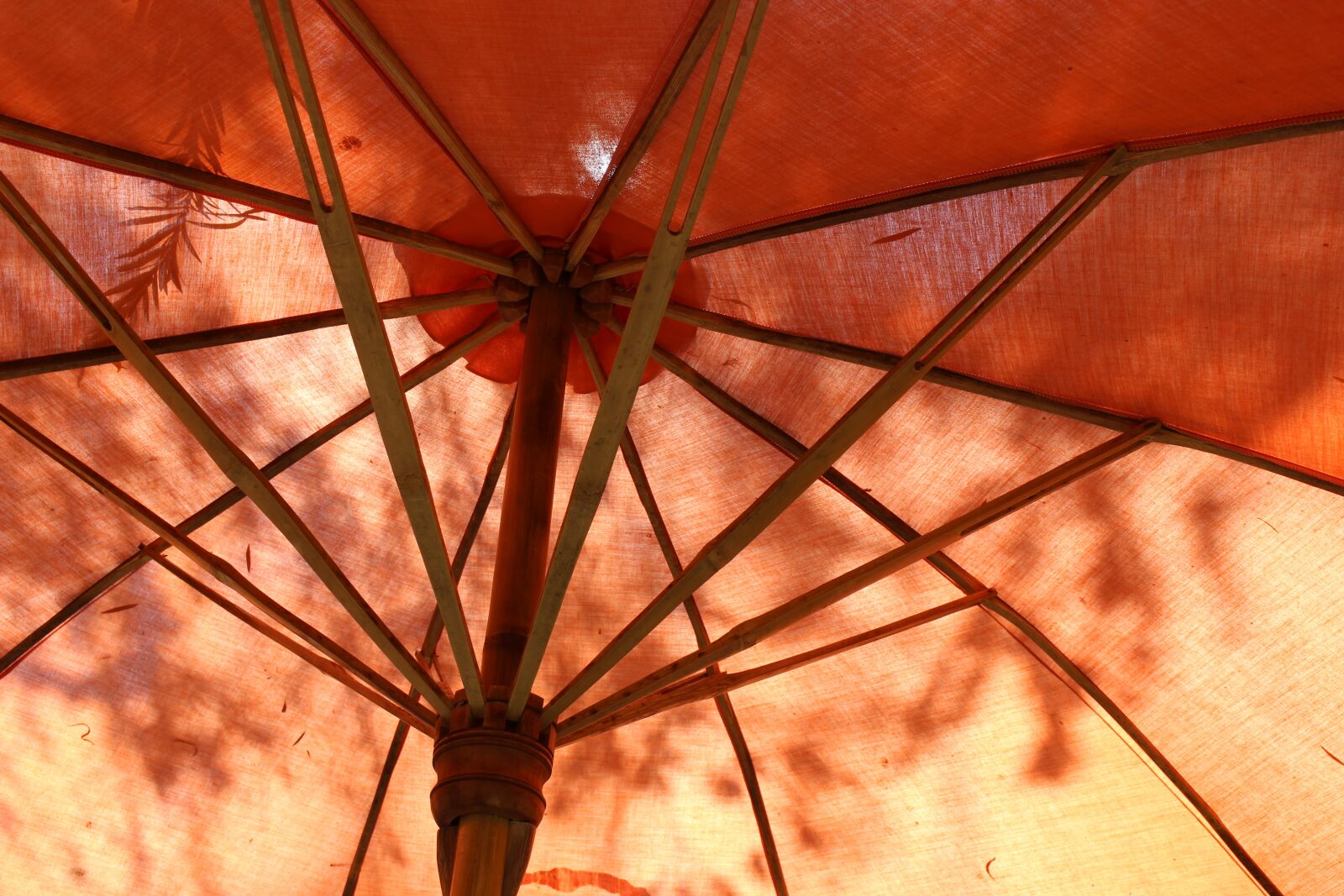Canon EOS 700D (EOS Rebel T5i / EOS Kiss X7i) sample photo. Umbrella, parasol, protection photography