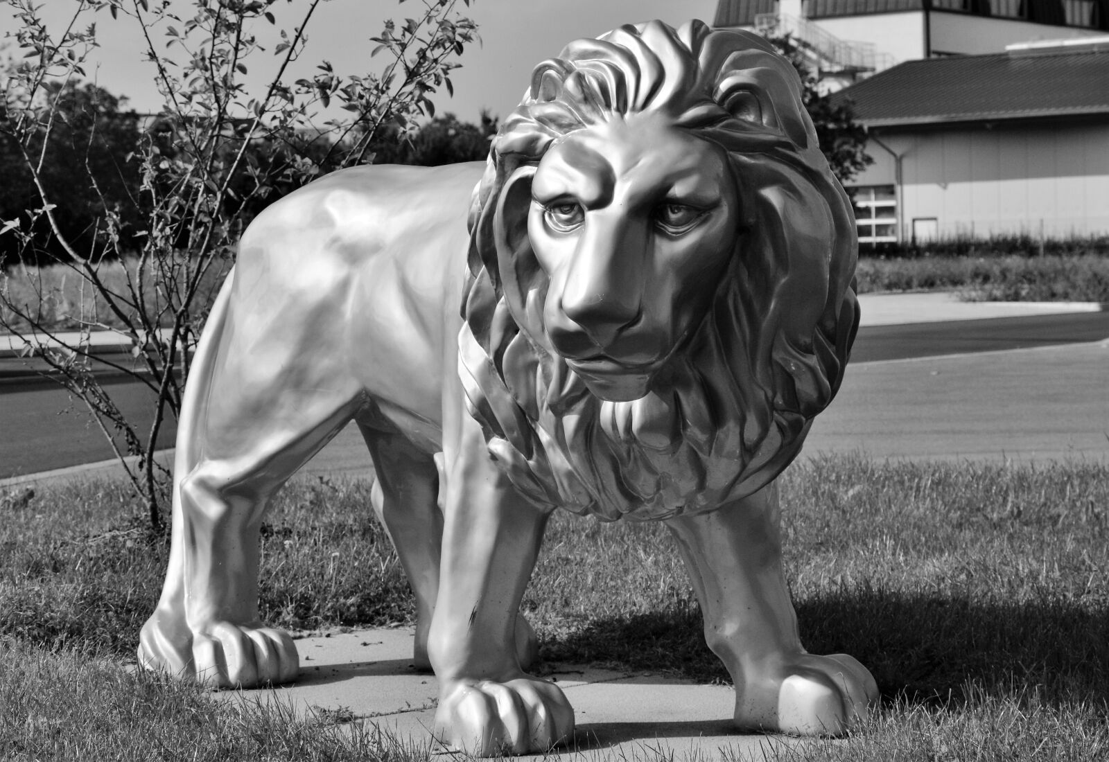Nikon D3200 sample photo. Lion, sculpture, figure photography